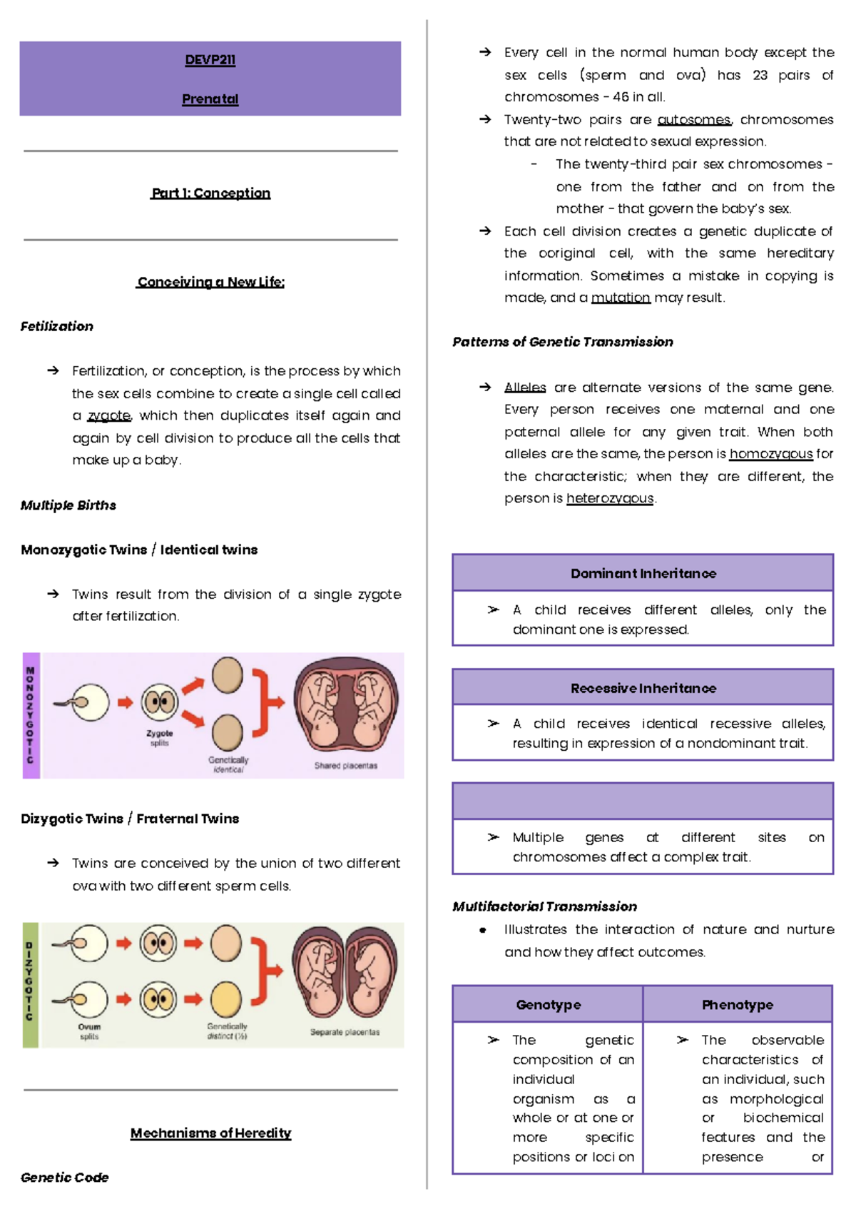 DEVP211 Final Exam Notes on Conception and Birth Stages - Studocu