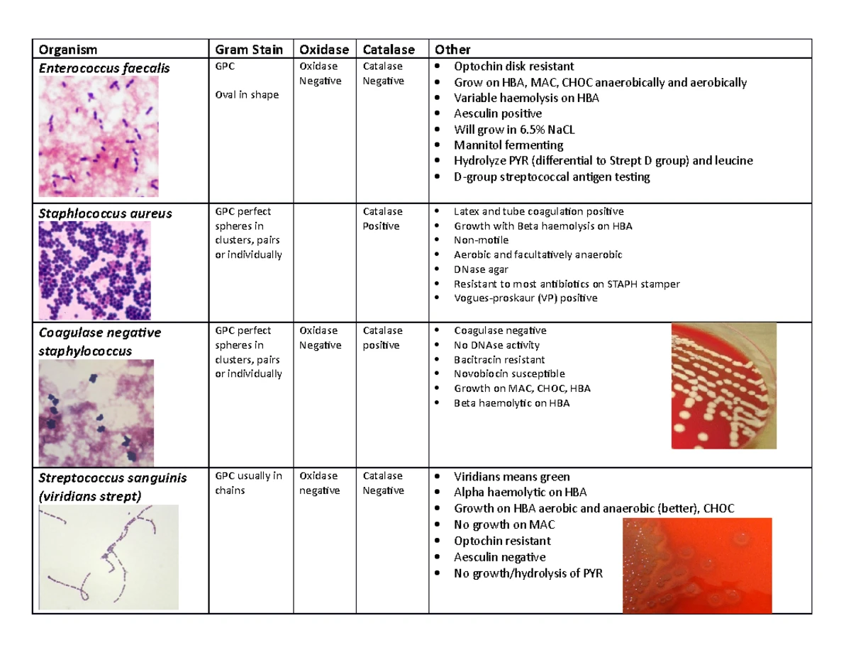 WEEK sem 2 - STUDY GUIDE and assessments - WEEK LECTURE TUT/LAB ...