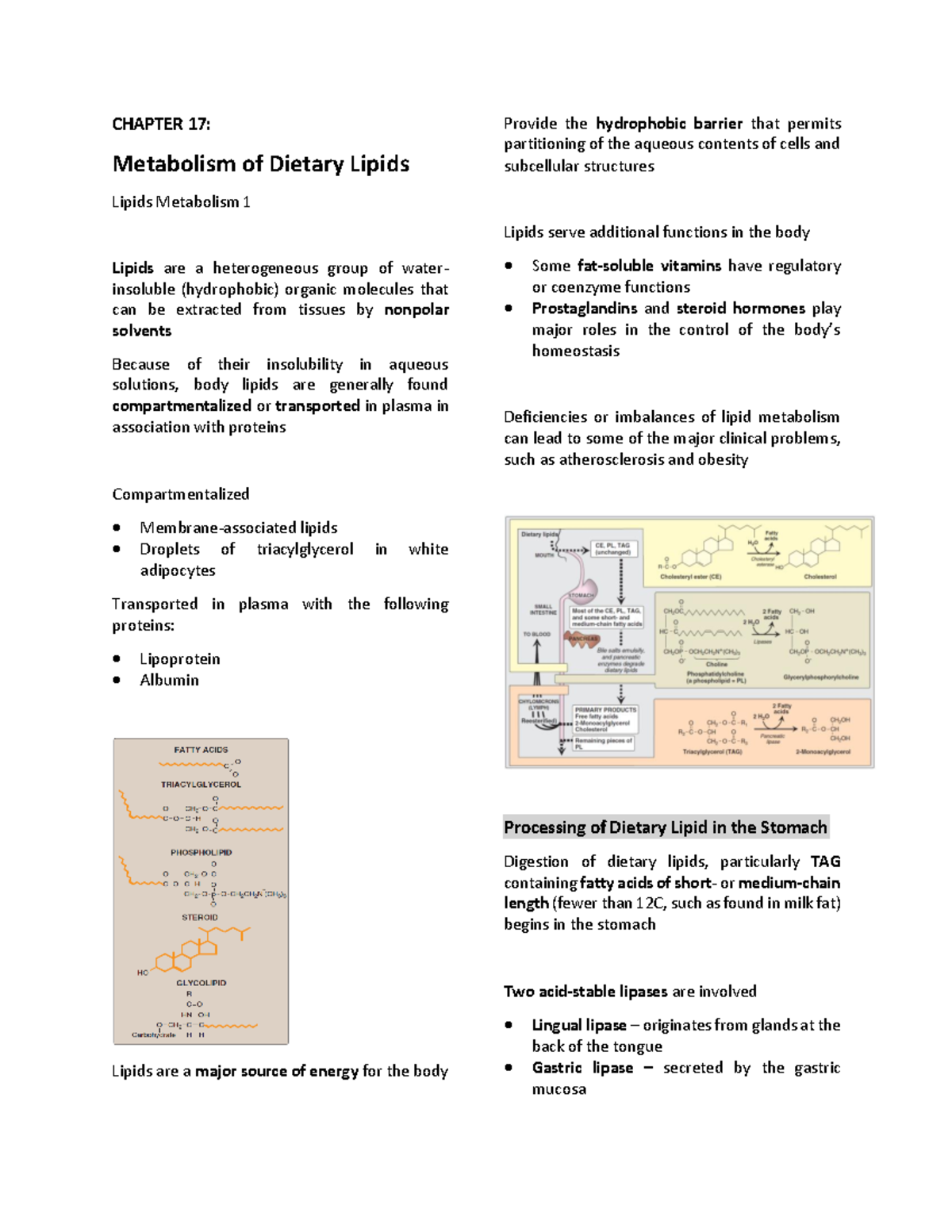 Chapter 17 - Lipid Metabolism Overview and Dietary Processing - Studocu