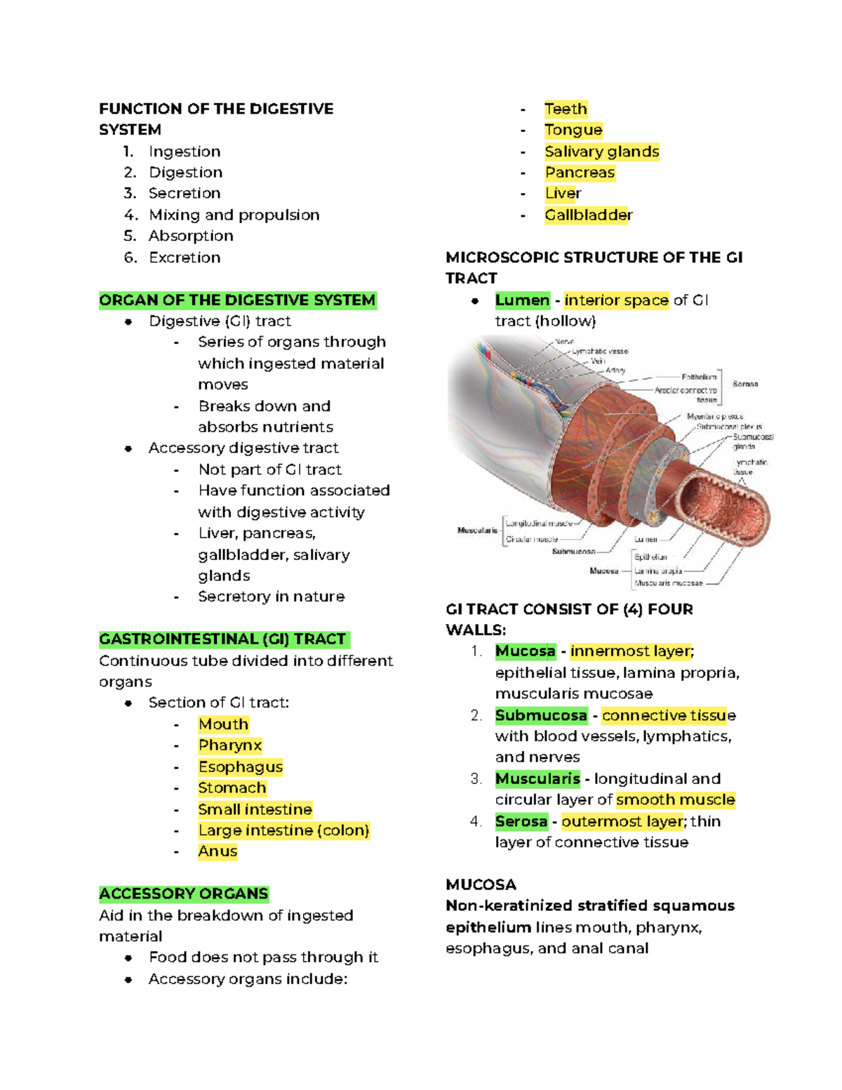 DIGESTIVE SYSTEM OVERVIEW: FUNCTIONS & ANATOMY (BIO 101) - Studocu