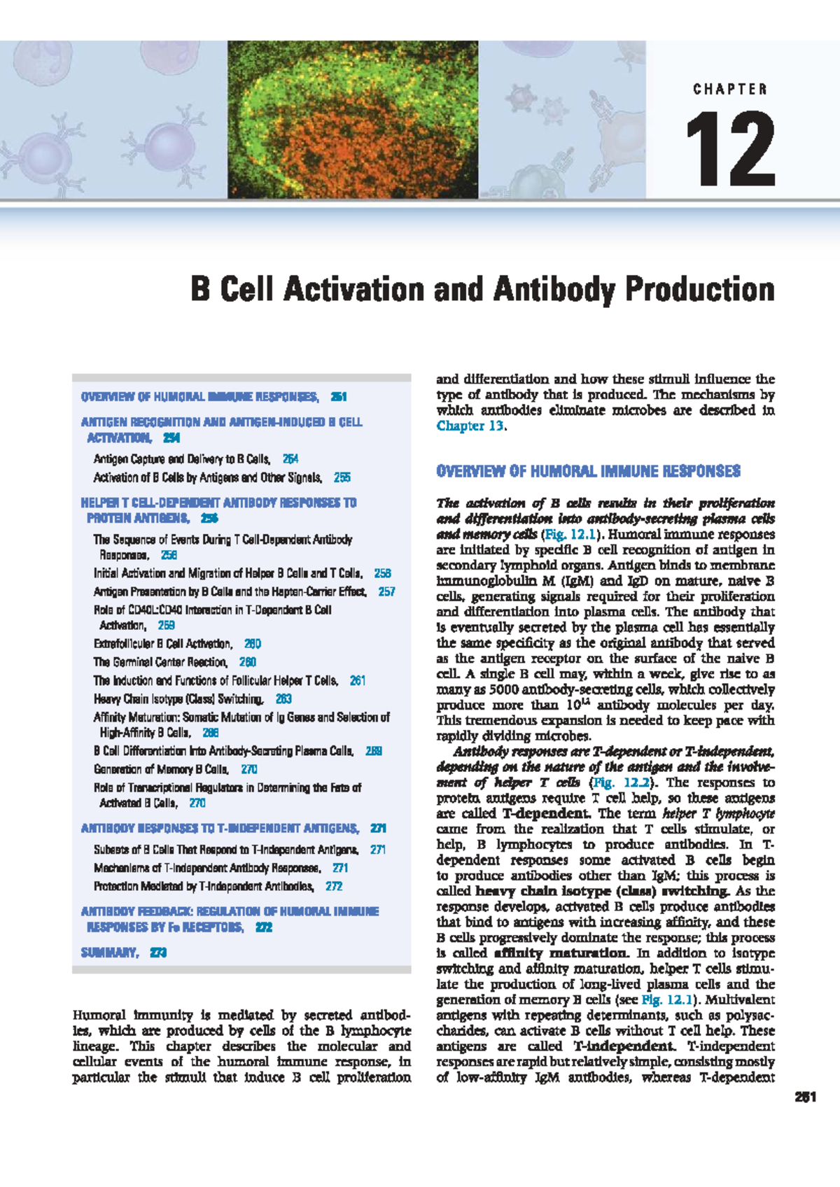 CHAPTER 12: B Cell Activation and Antibody Production Overview - Studocu