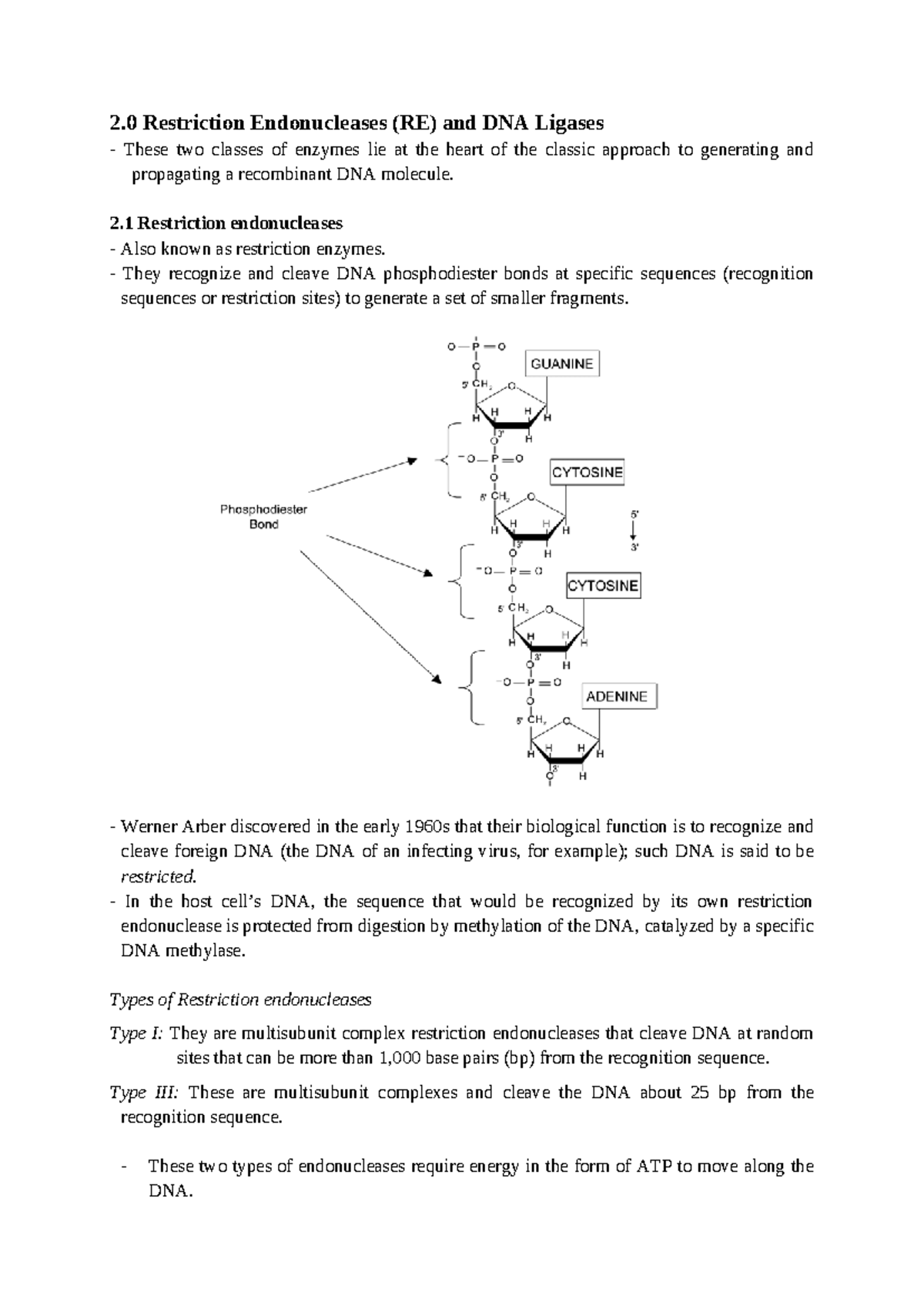 ENZ 101: Restriction Enzymes & DNA Extraction Techniques Overview - Studocu