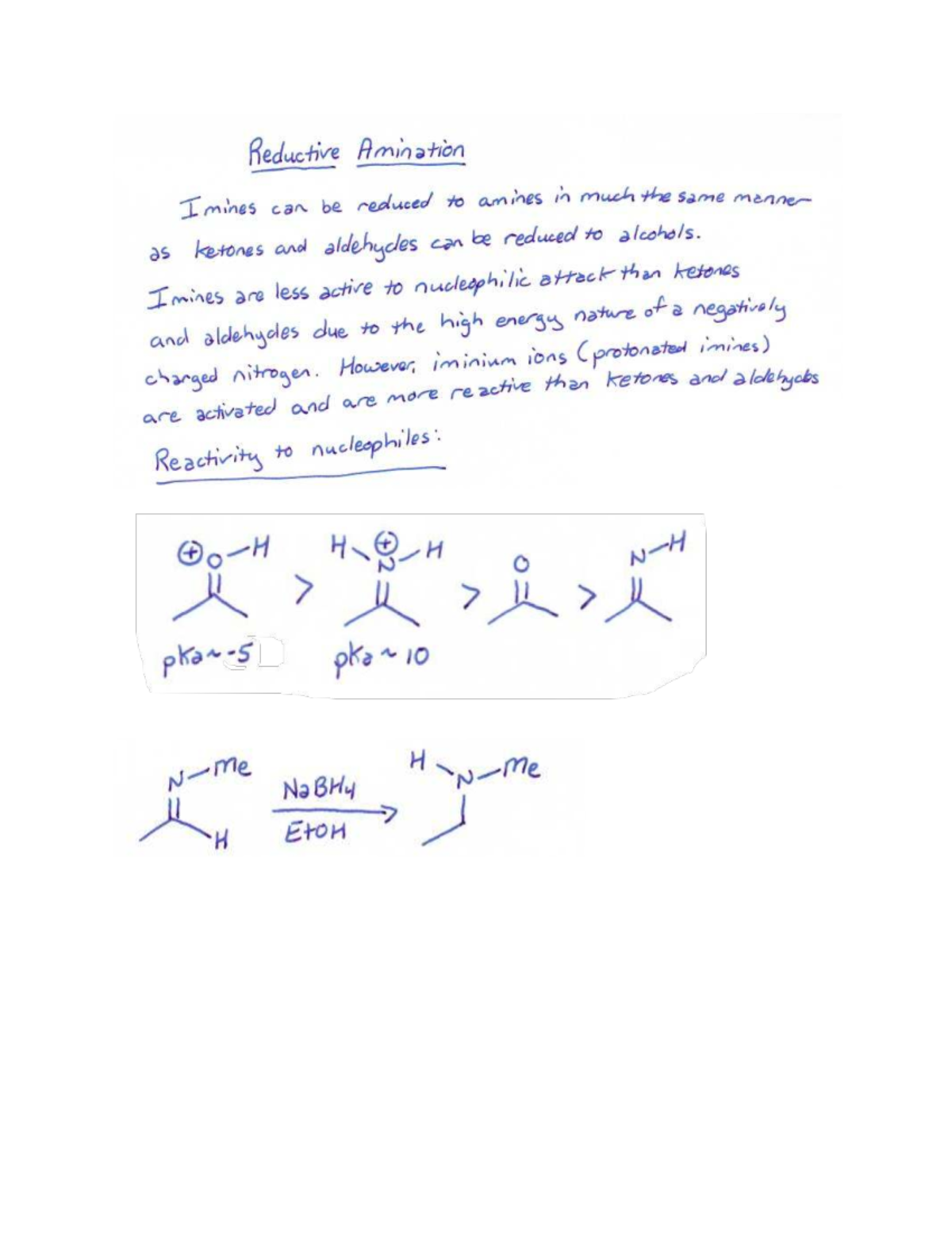 Reductive Amination Mechanism and Procedures - Studocu