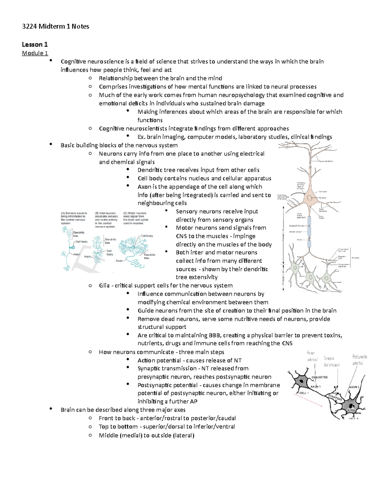 3224 Midterm 1 notes - Lesson 1 Module 1 Cogniive neuroscience is a ...