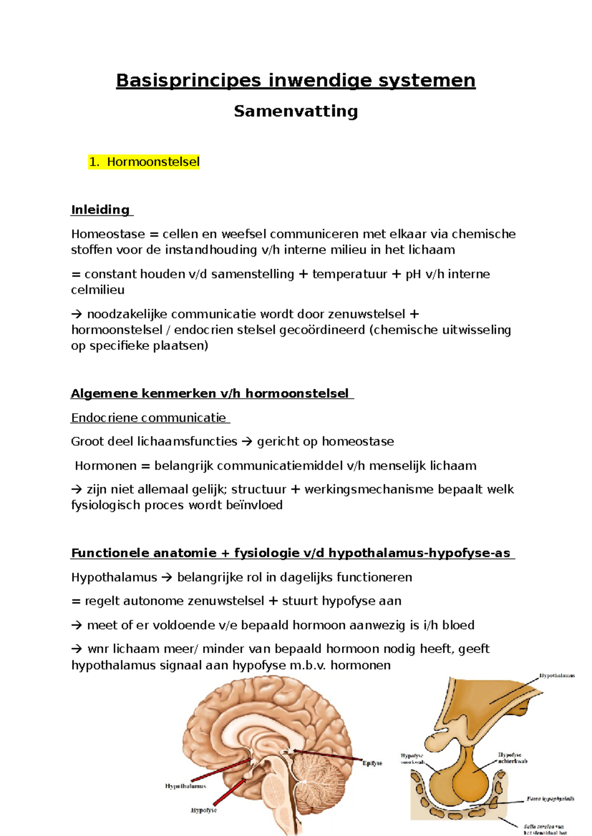 hormoonstelsel-samenvatting-van-endocriene-en-neurologische-systemen