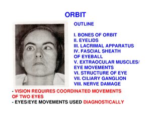 (01.24) Gross Anatomy Trans 3.03 Eyelid, Lacrimal Apparatus, Orbit ...
