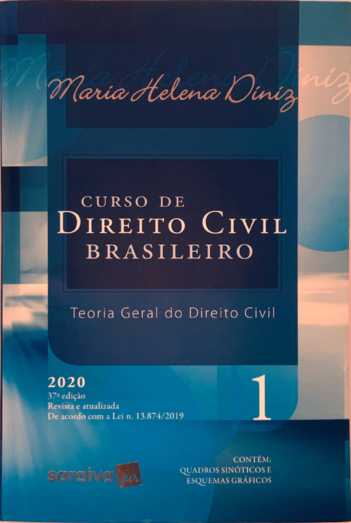 Fato Jurídico e Teoria Geral do Direito Civil - Maria Helena Diniz ...