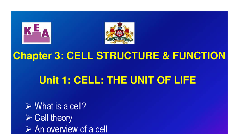Chapter 3: Cell Structure & Function - VIKASANA BRIDGE COURSE 2012 ...