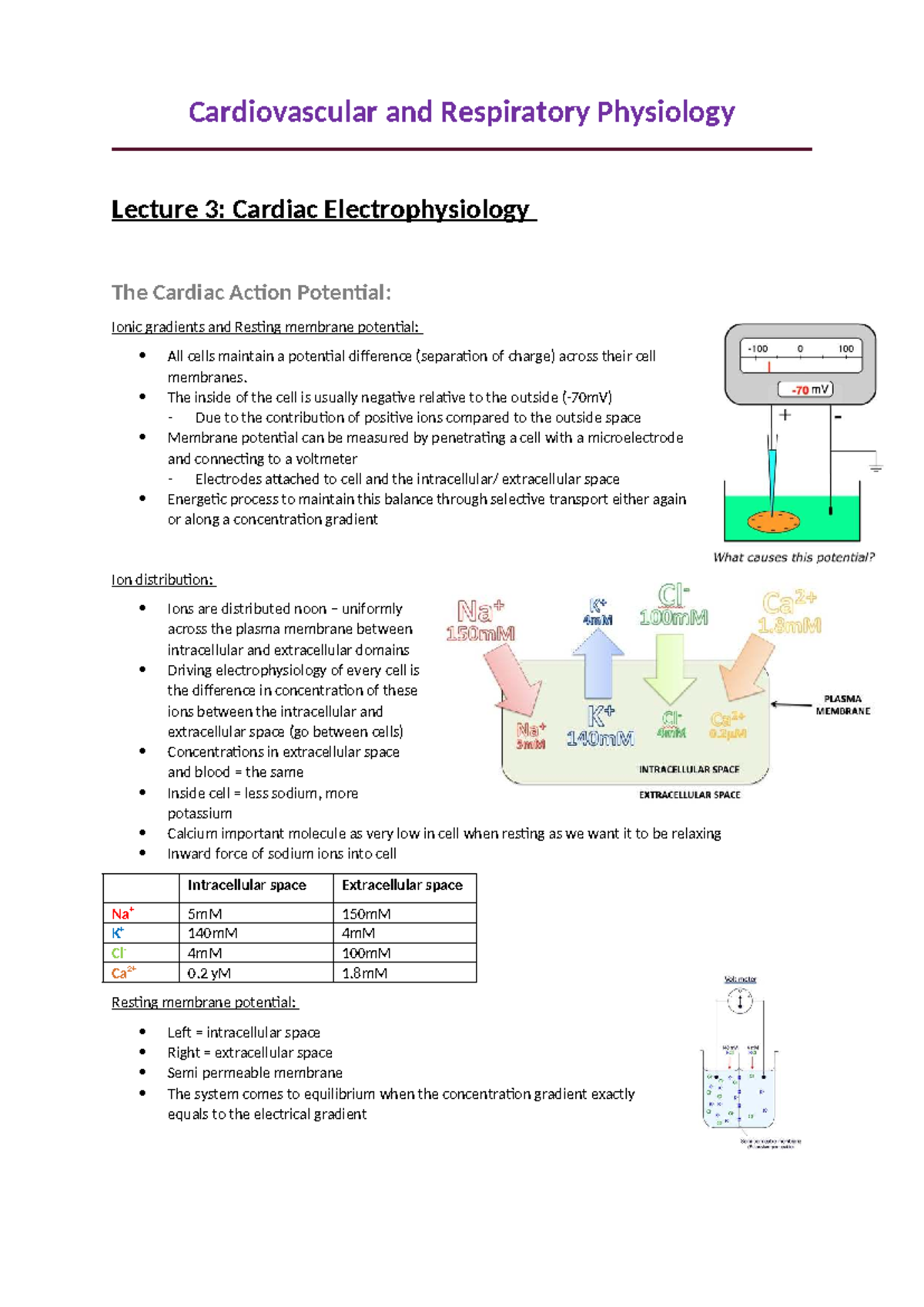 Cardiovascular Physiology Lecture 3: Cardiac Electrophysiology Notes ...