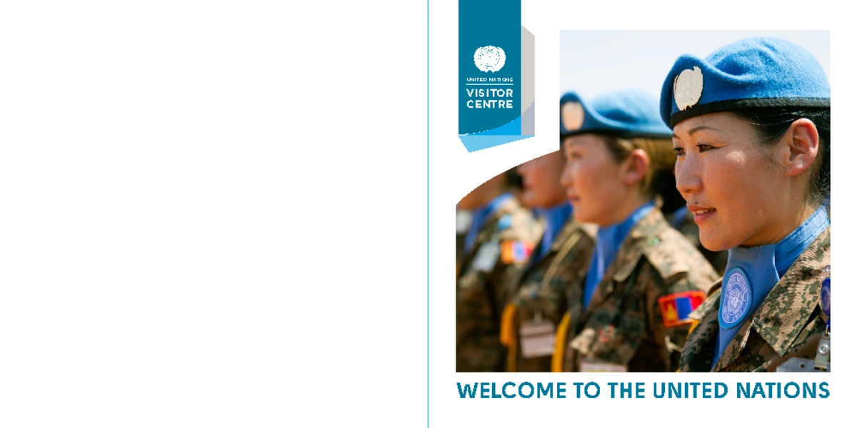 The Structure of the United Nations - Chapter 2 - Insights and Facts ...