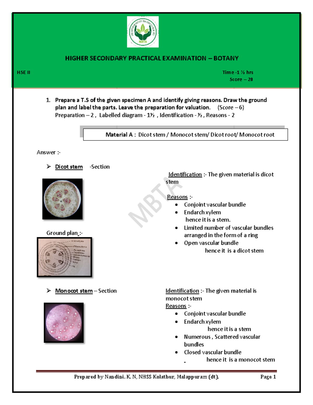 Botany Practical Examination Notes - HSE II - 2024 - Studocu