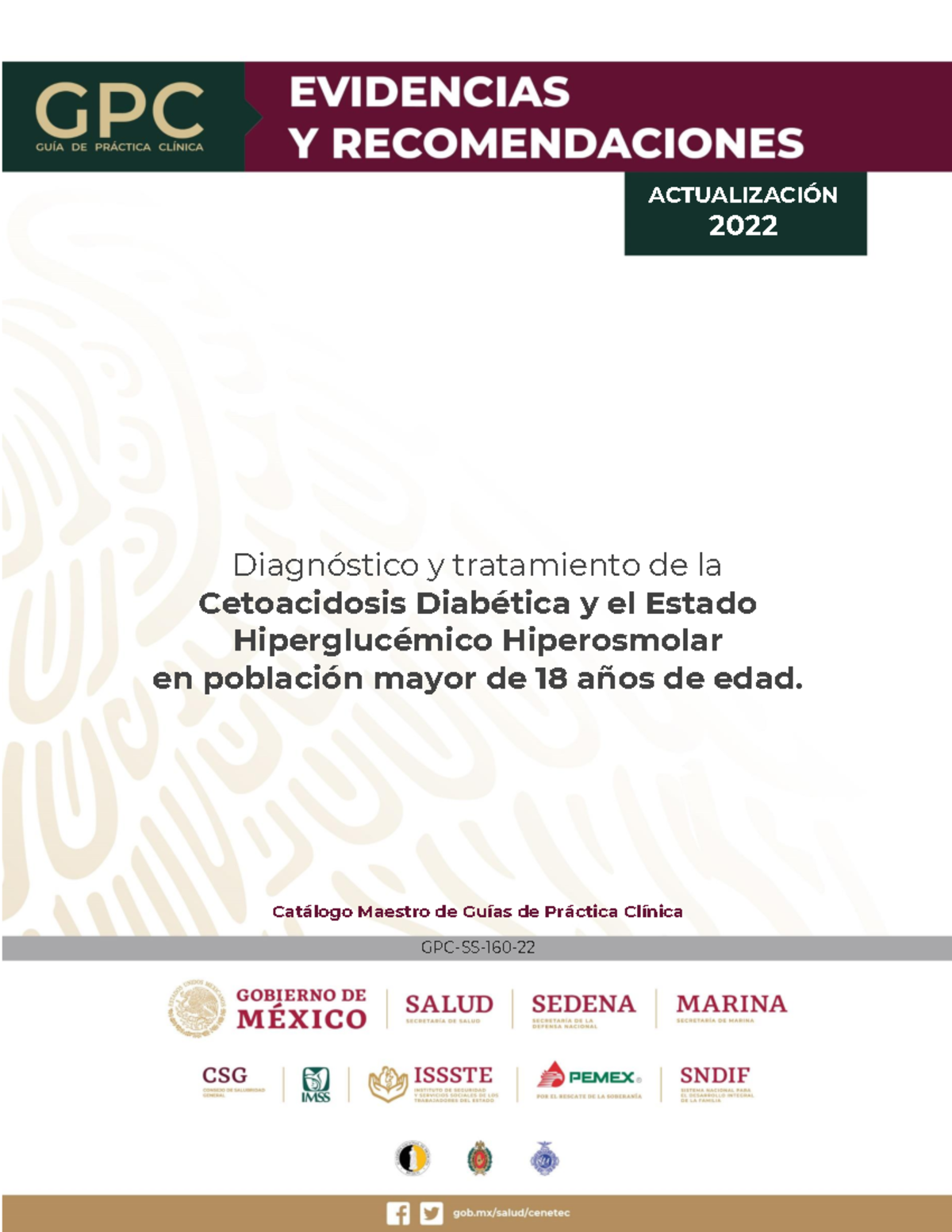 Guía de Práctica Clínica GPC-SS-160-22: Cetoacidosis Diabética y EHH - Document Preview