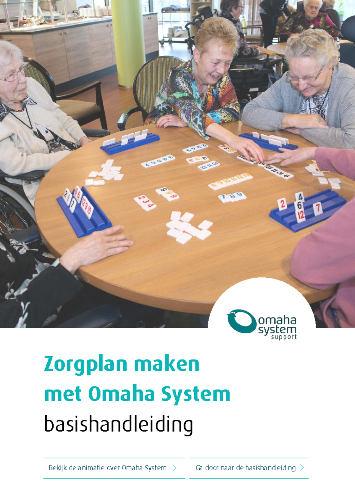 Basishandleiding Zorgplan met Omaha System: Stappen en Evaluatie ...
