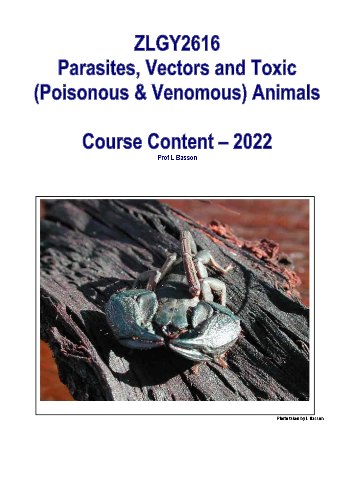1b Lower Chordata Lecture 2024(Prac) - THE PHYLUM HEMICHORDATA and ...