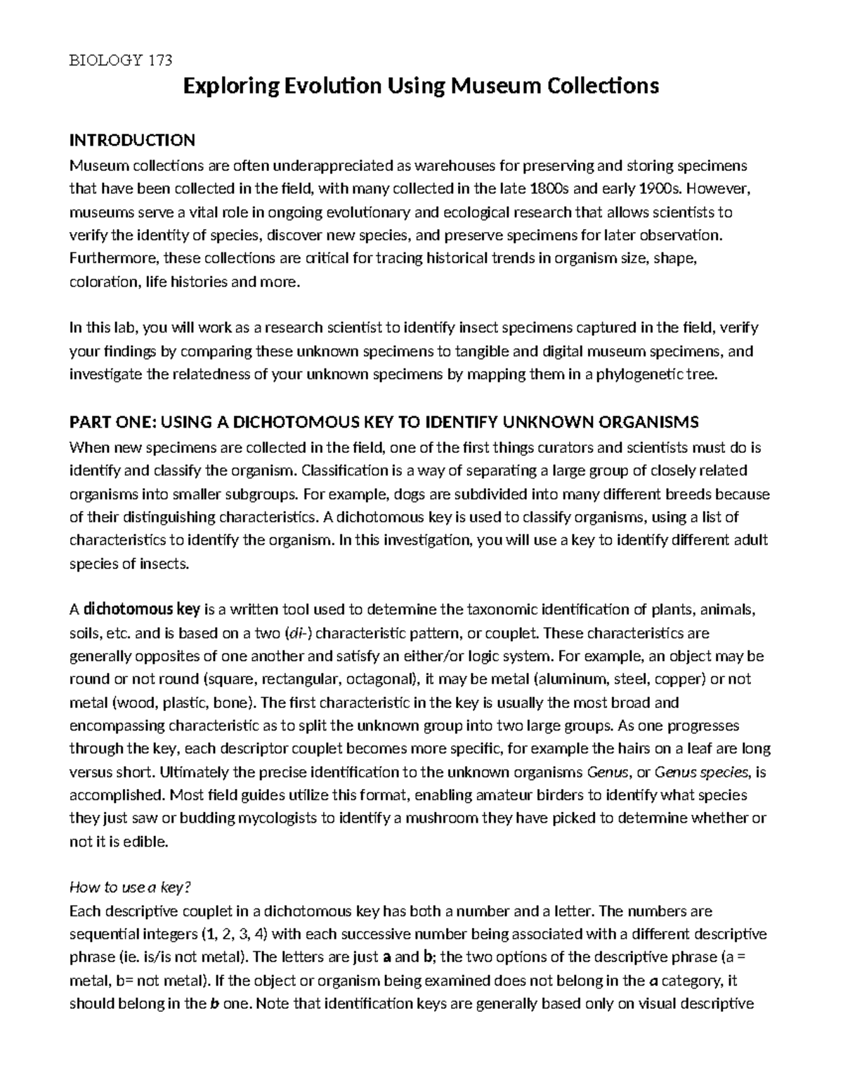 BIOLOGY 173 Insect Identification and Evolutionary Analysis Lab Report ...