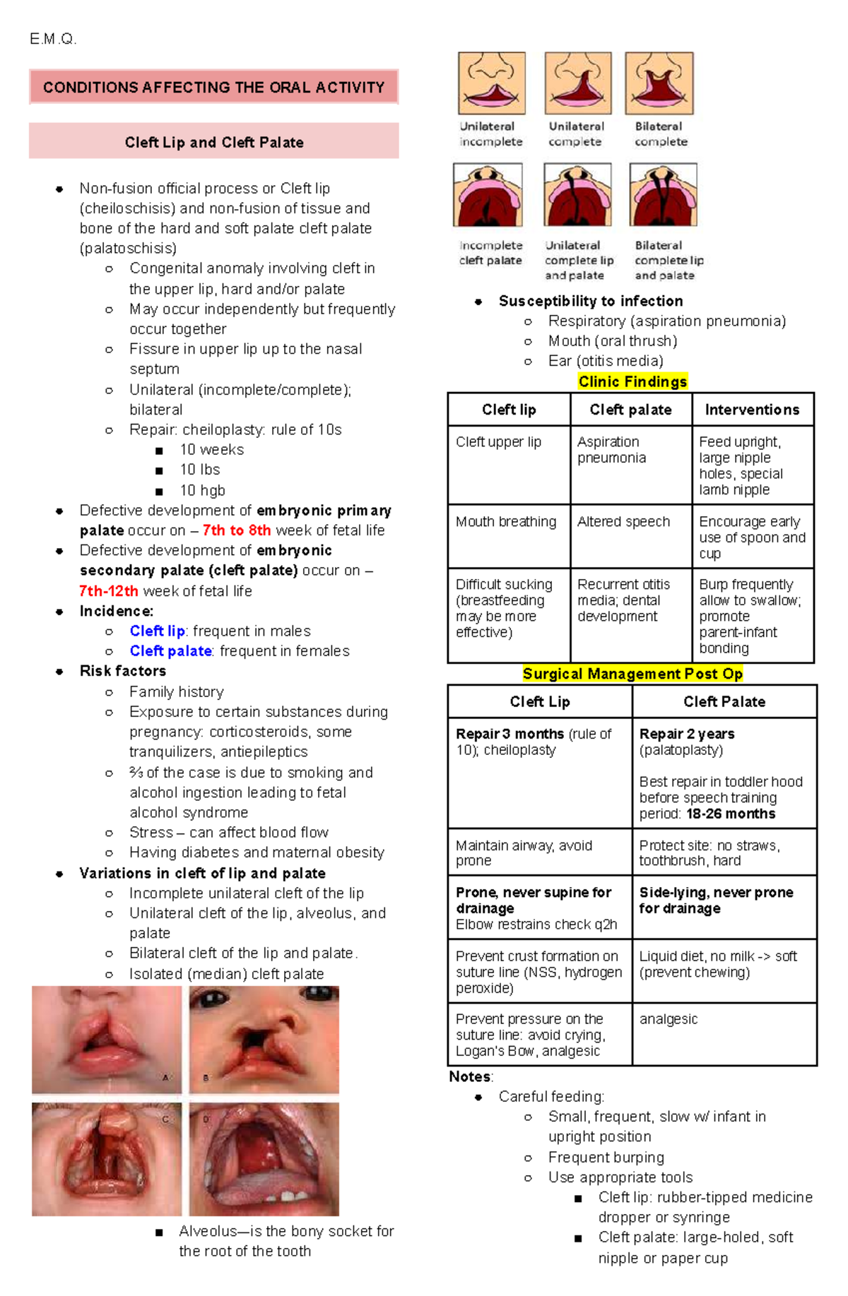 E.M.Q. Conditions Impacting Oral Activity: Cleft Lip & Palate Insights ...