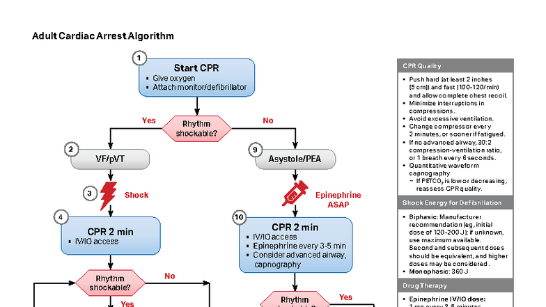 ACLS CA 2006: Adult Cardiac Arrest Algorithm Guide - Studocu