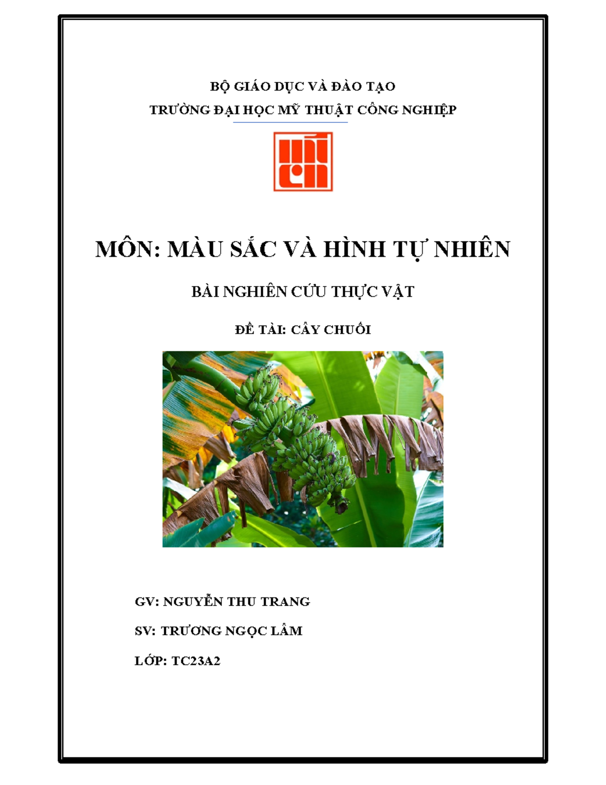 Các loại chuối phổ biến