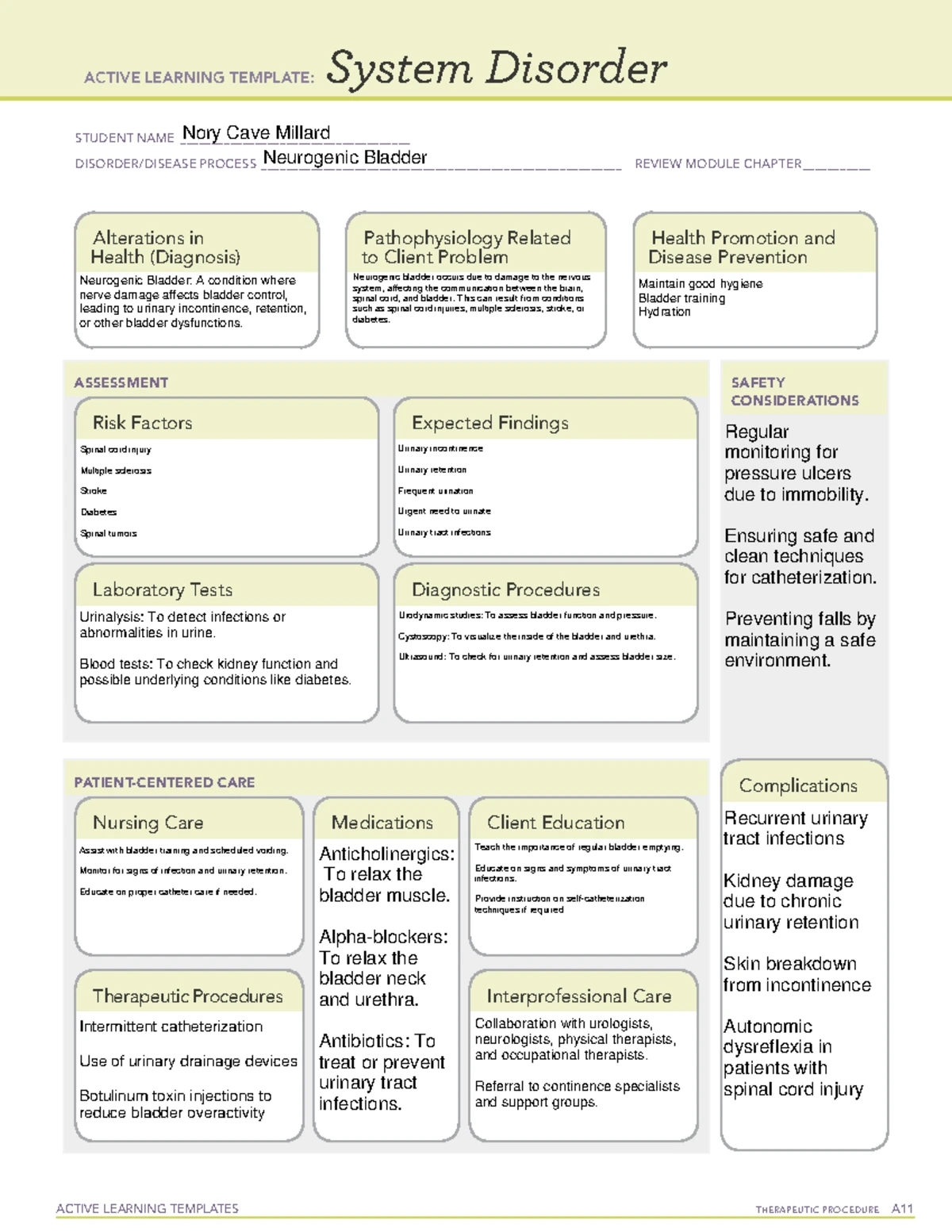 Bladder Scanning Fundamentals: Active Learning Templates for Nursing ...