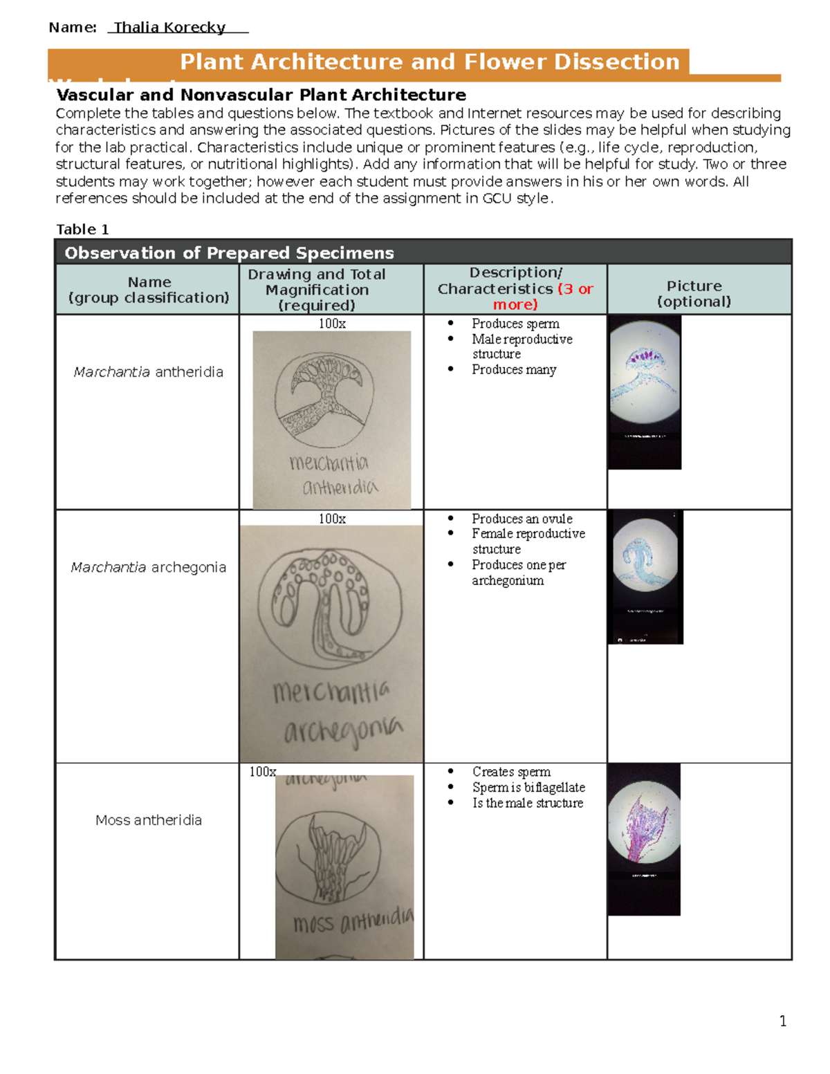 Plant Architecture and Flower Dissection Worksheet (BIO101) - Studocu