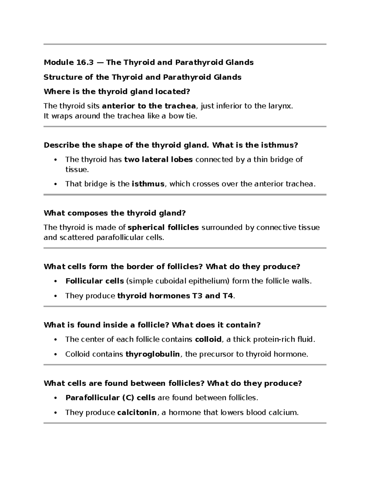 RAT2 - Study Guide for Thyroid, Blood, and Systemic Arteries - Studocu