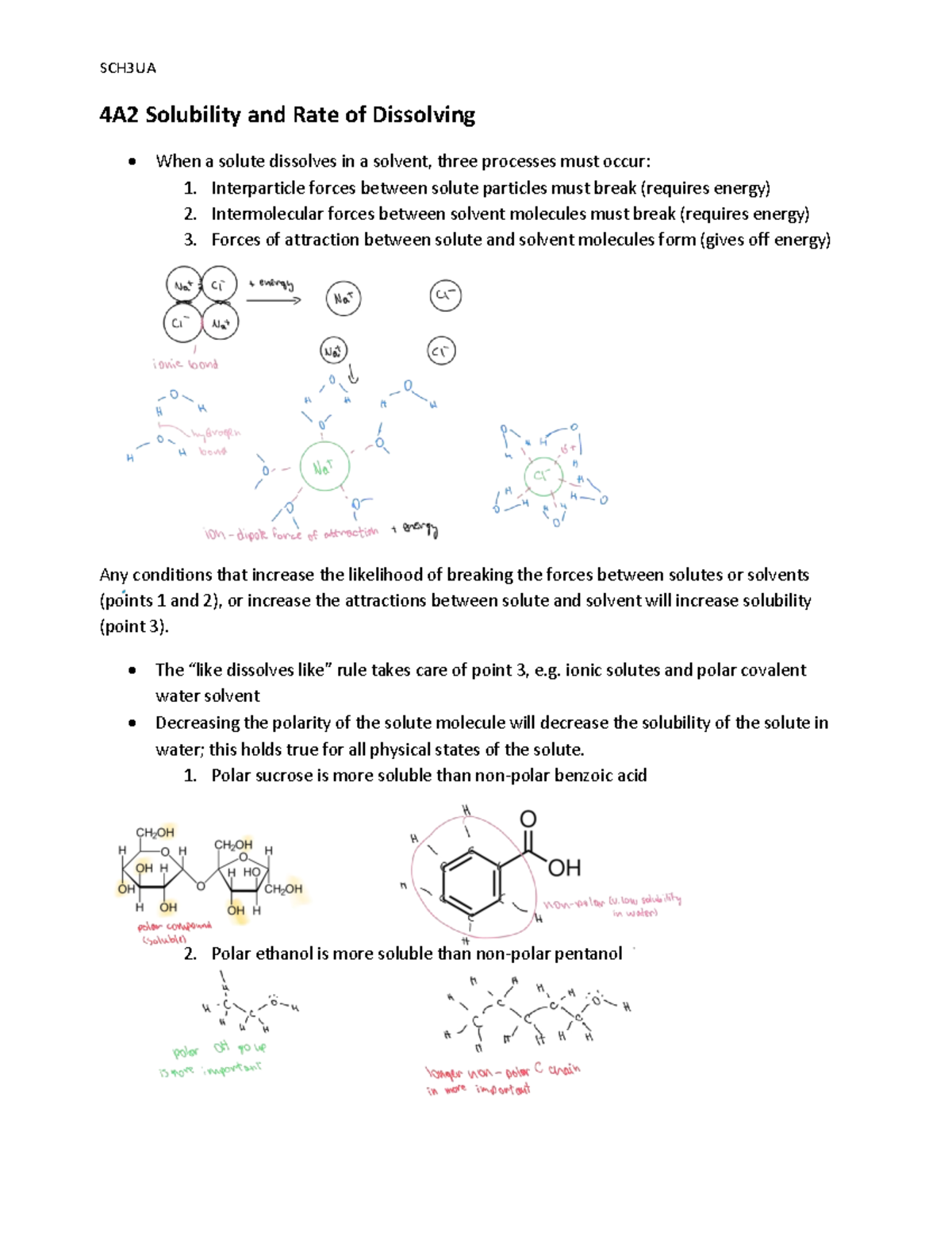 SCH3UA Solubility and Rate of Dissolving Notes - Studocu