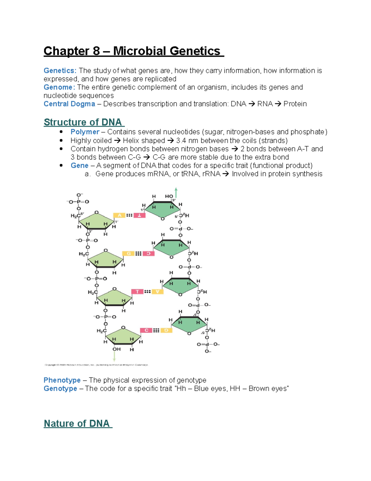 Chapter 8 - Microbial Genetics: DNA Structures and Gene Expression ...