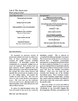 Stack and heap concepts rev3 - Stack and Heap COMP 2406 COMP 2406 ...