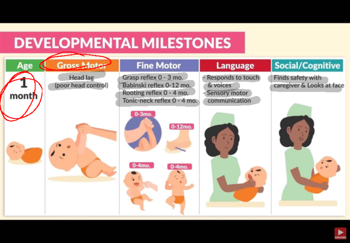 Developmental Milestones Overview: Age-Based Gross & Fine Motor Skills ...