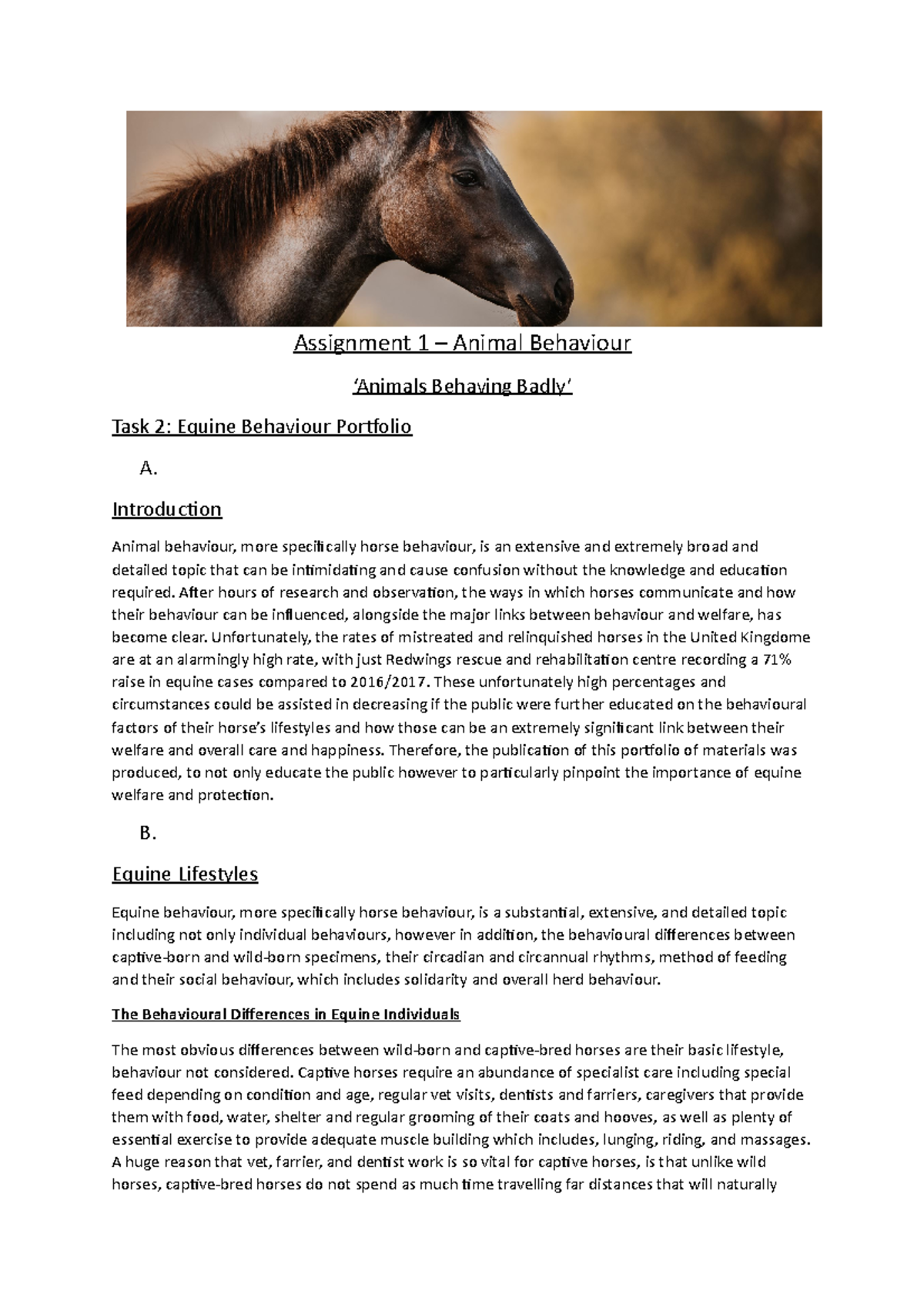 Equine Behaviour Study - Assignment 1 (T2) Portfolio Overview - Studocu
