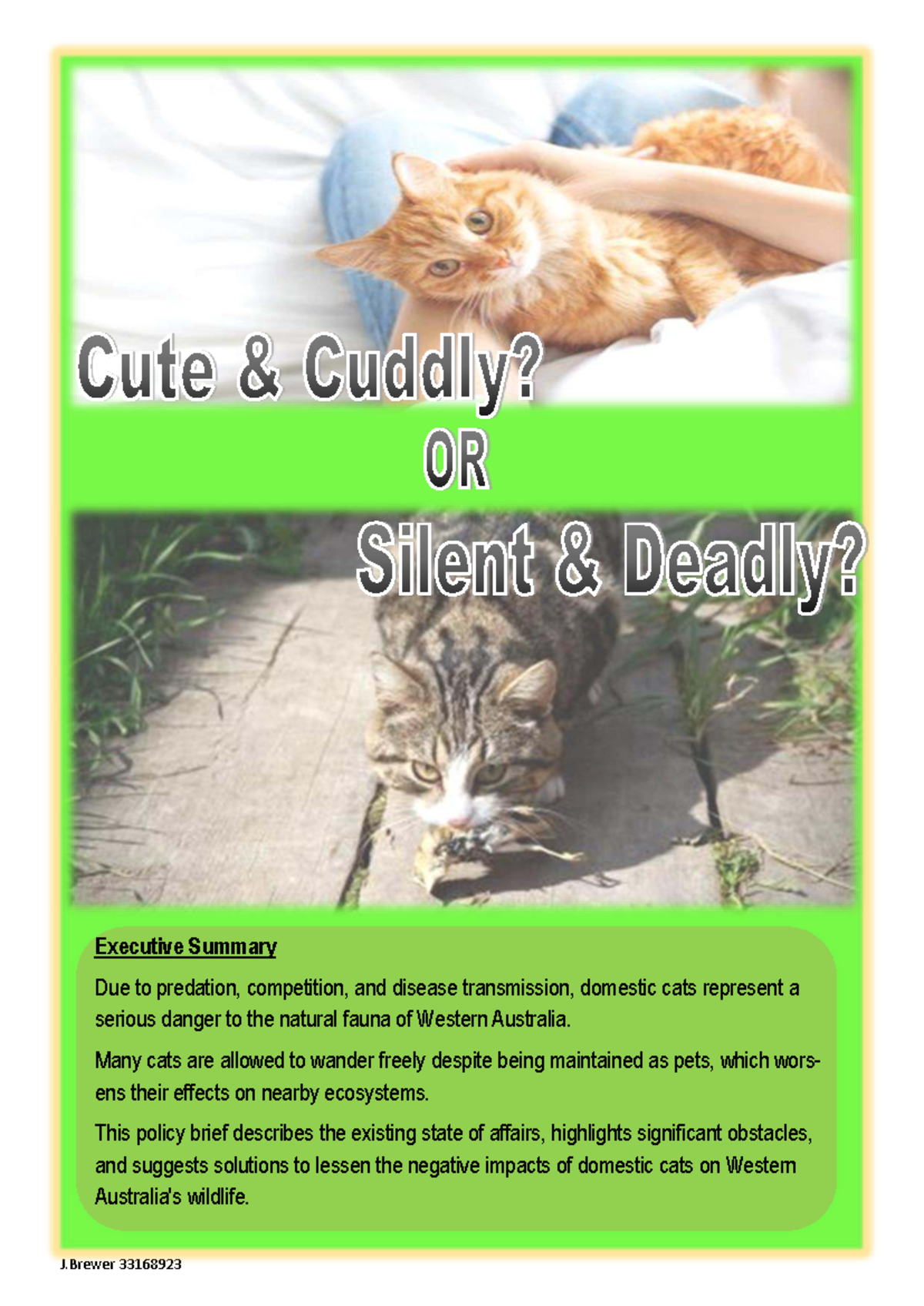 ENV Policy Brief: Mitigating Domestic Cats' Impact on Wildlife in WA ...