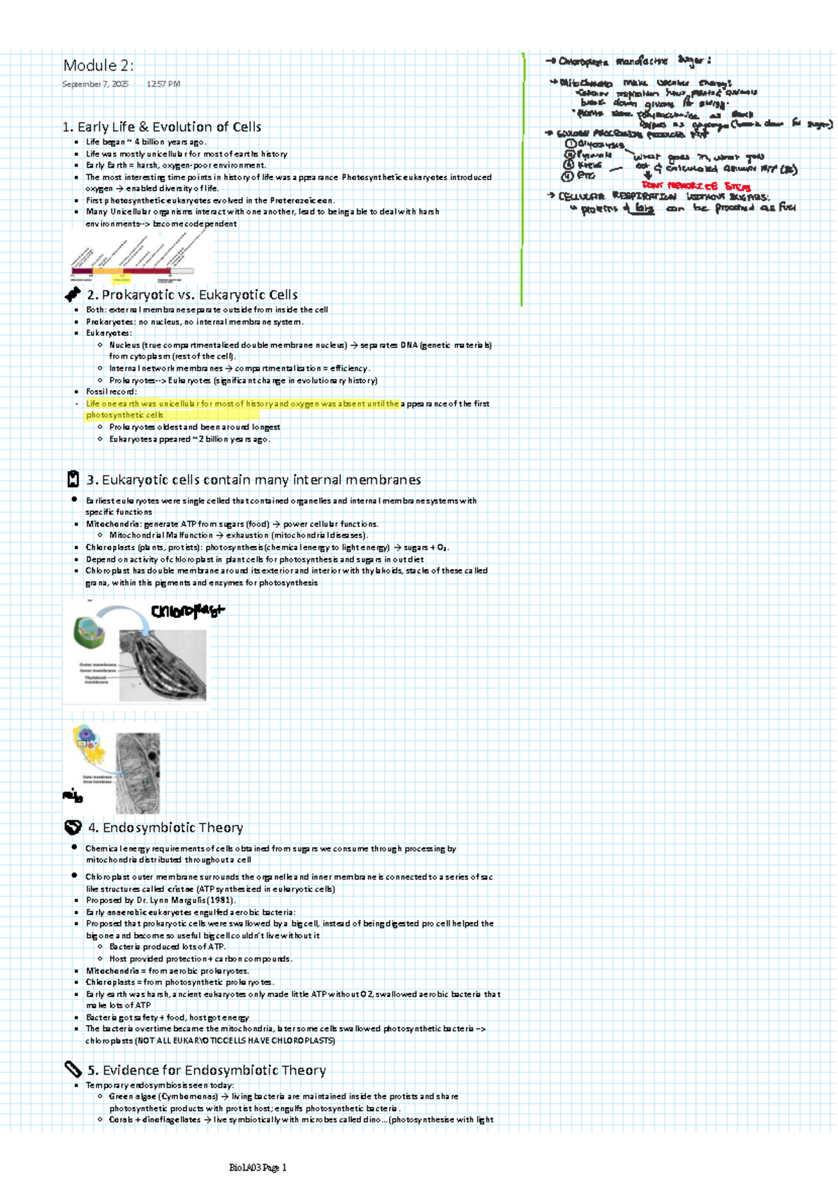 Module 2: Evolution of Cells and Endosymbiotic Theory (Bio1A03) - Studocu