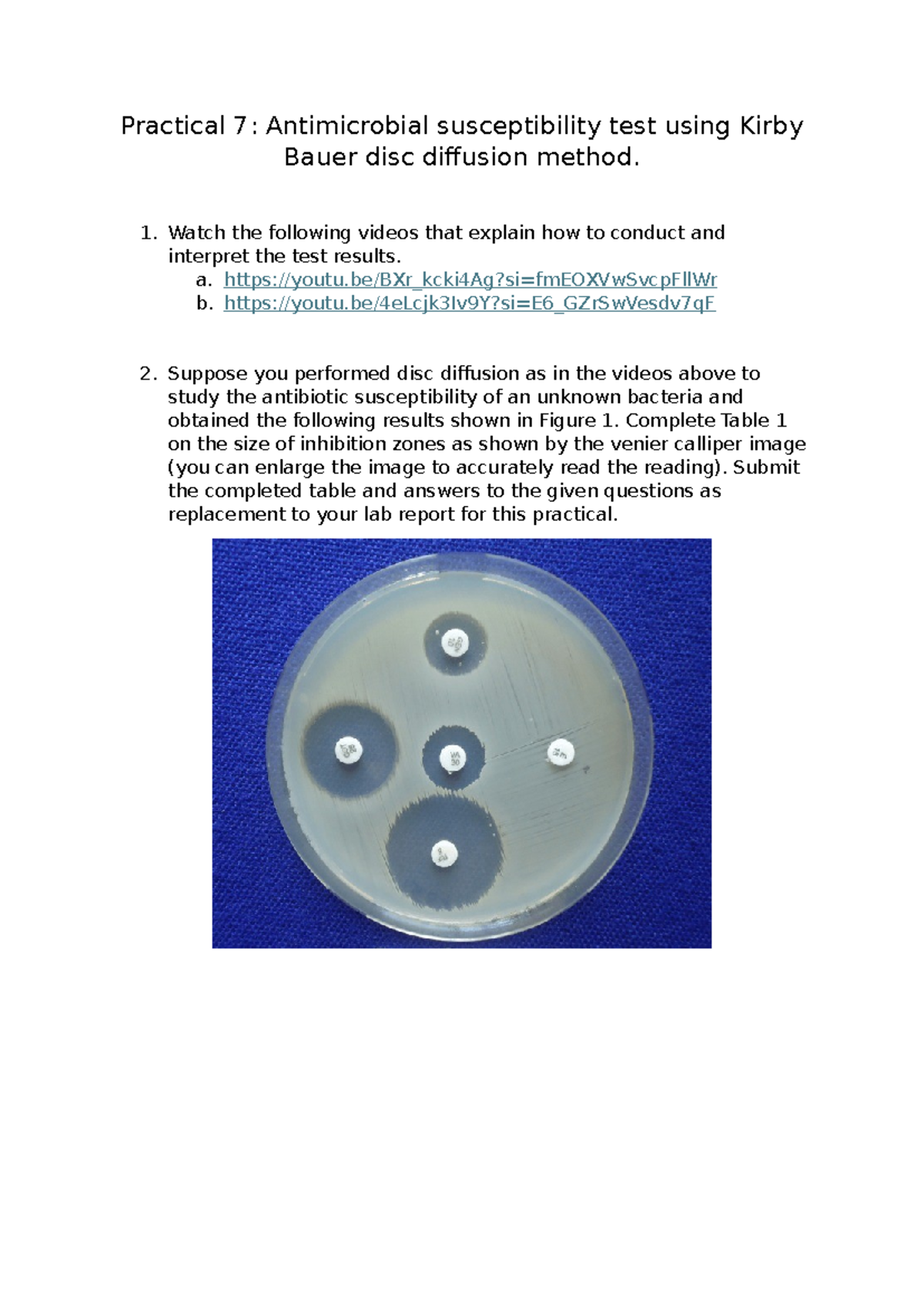 Practical 7: Antimicrobial Susceptibility Testing with Kir Bauer Method ...