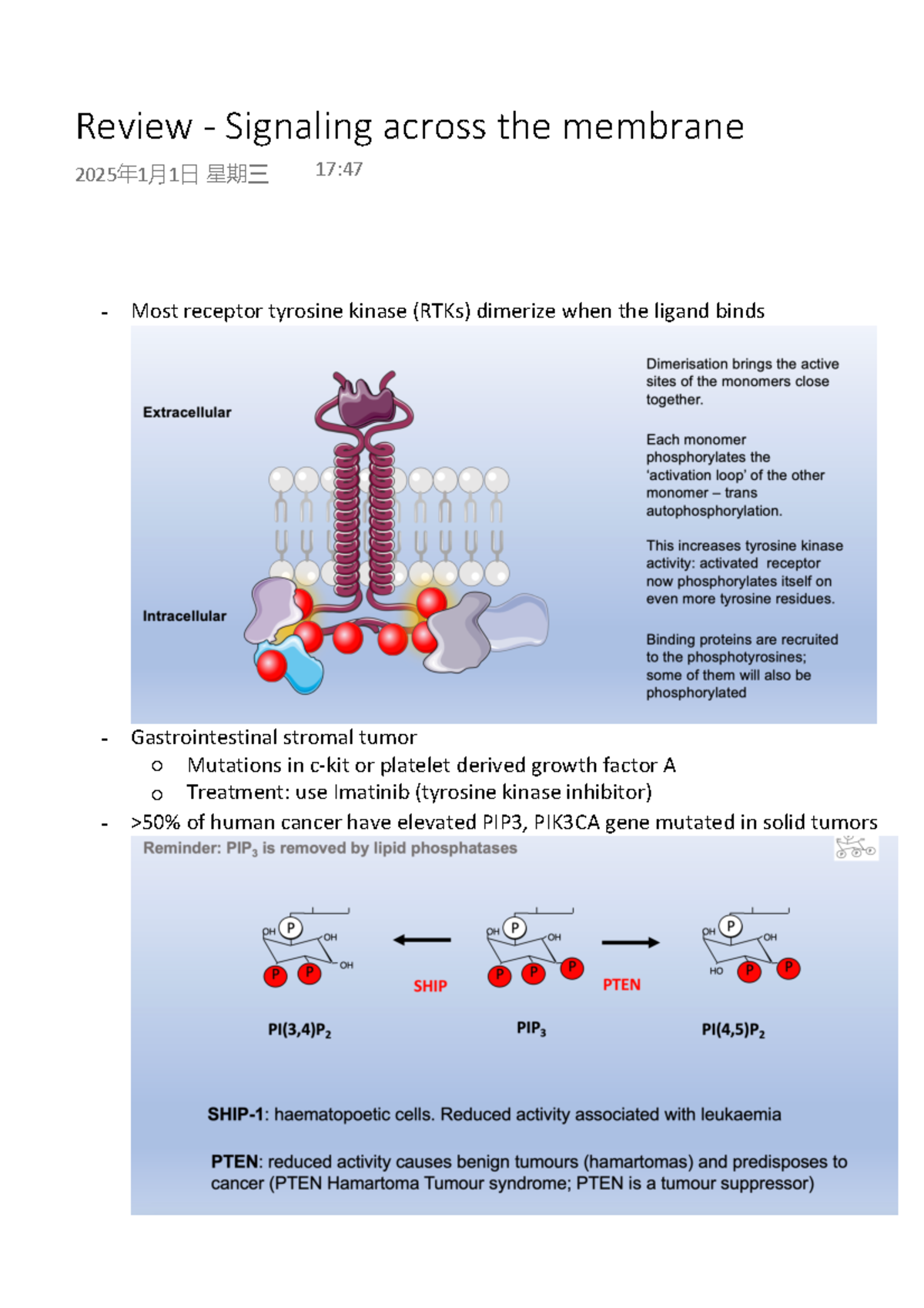 Review - Signaling across the membrane - Most receptor tyrosine kinase ...