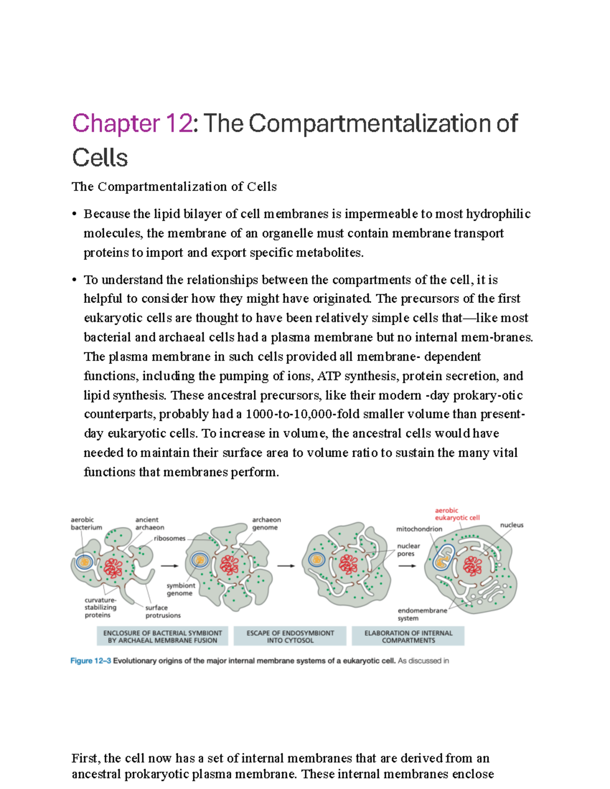 Bio310 Notes Chapter 12 - Chapter 12: The Compartmentalization of Cells ...