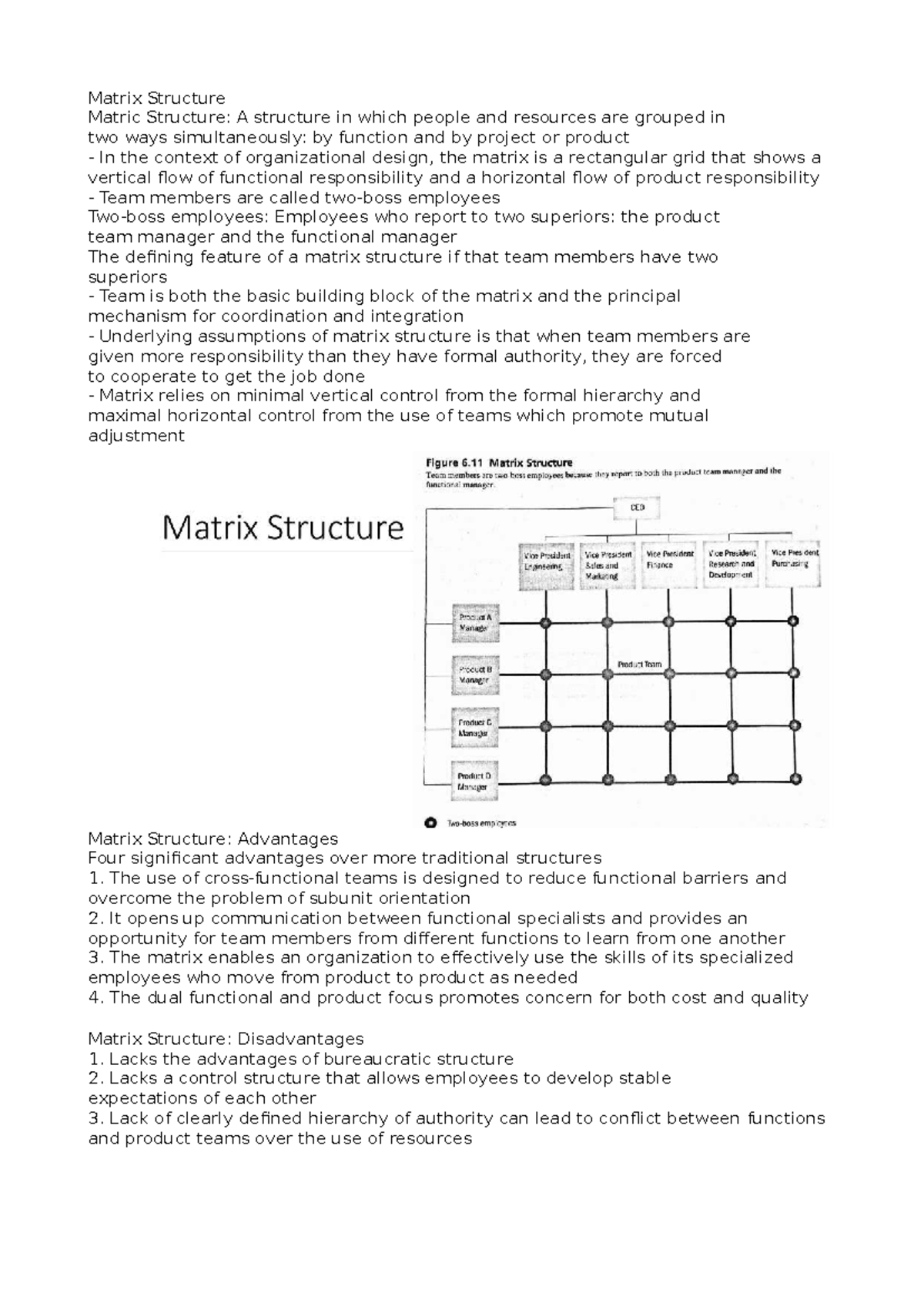 Matrix Structure: Advantages and Disadvantages in Business Org. (BUS ...