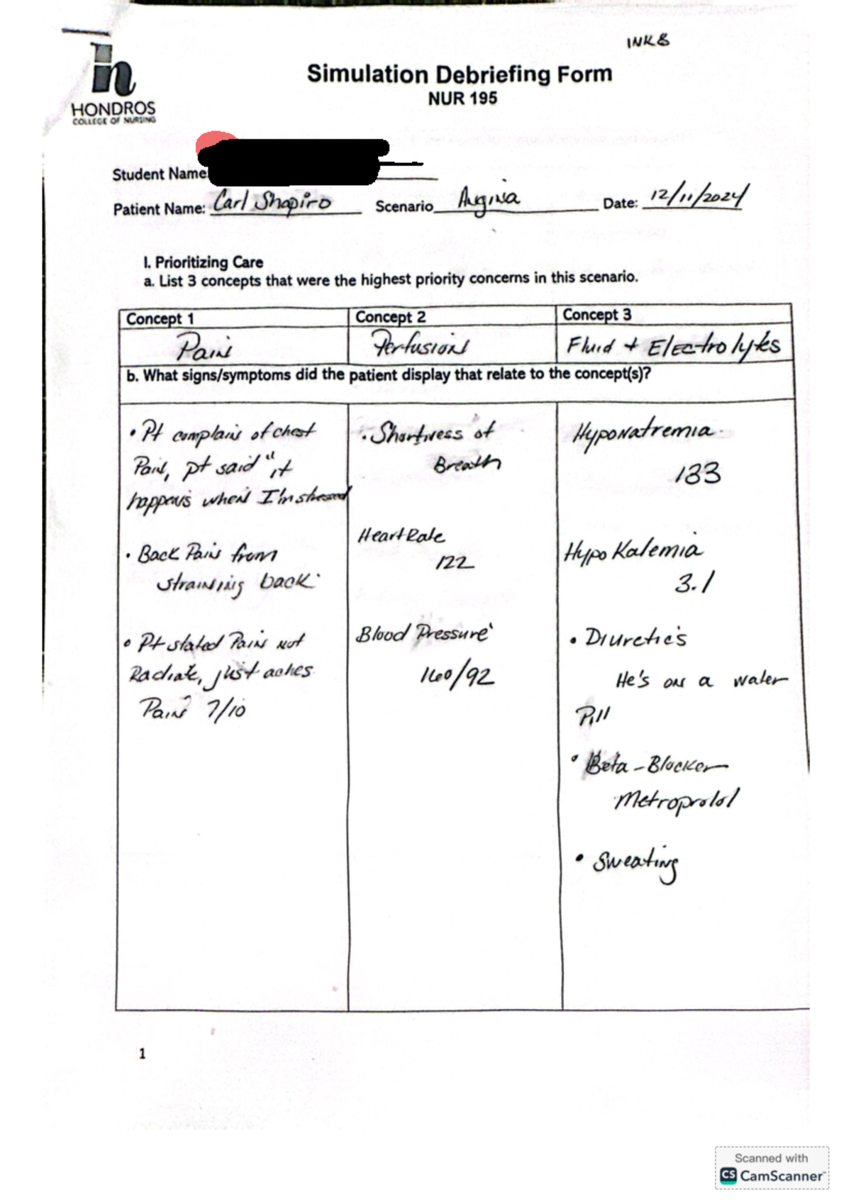 Cm Spsrcourse Documents View - INKS Simulation Debriefing Form NUR 195 ...