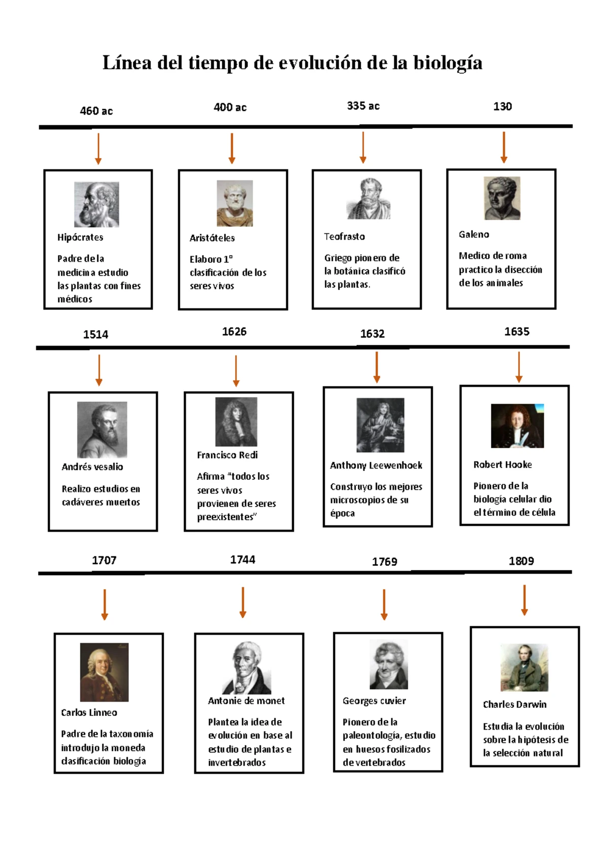 Infografía: Línea del Tiempo de la Evolución en Biología - Studocu