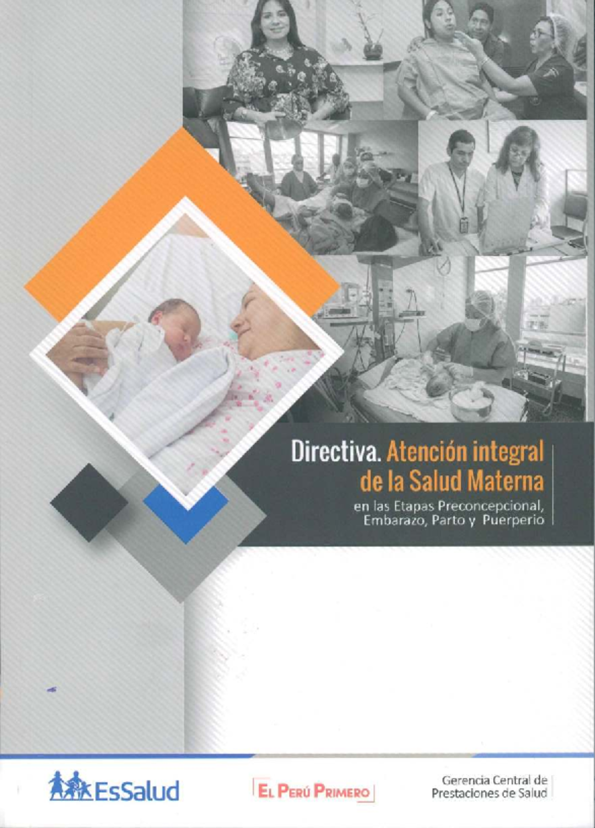 Directiva Integral de Salud Materna: Preconcepción, Embarazo, Parto y ...