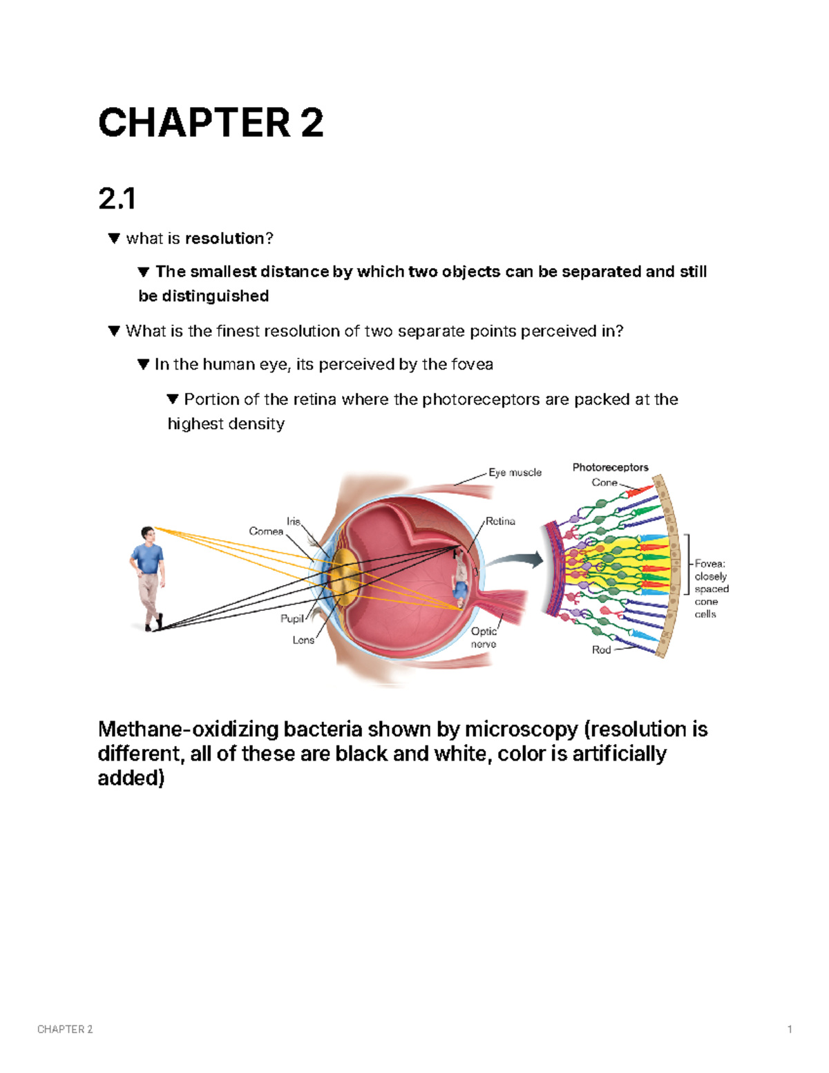 Chapter 2 - Resolution and Microscope Techniques Explained - Studocu