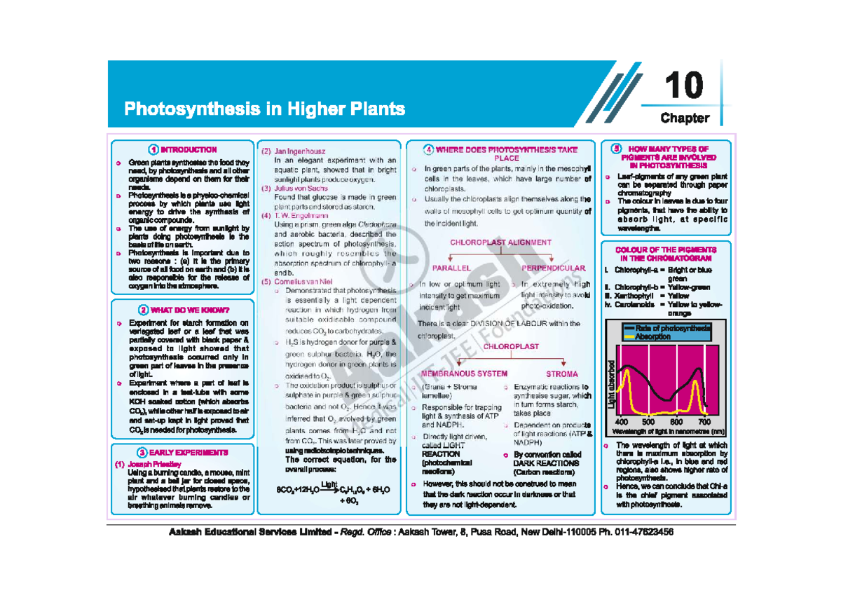 Photosynthesis in Higher Plants: Chapter 1 Overview and Key Concepts ...