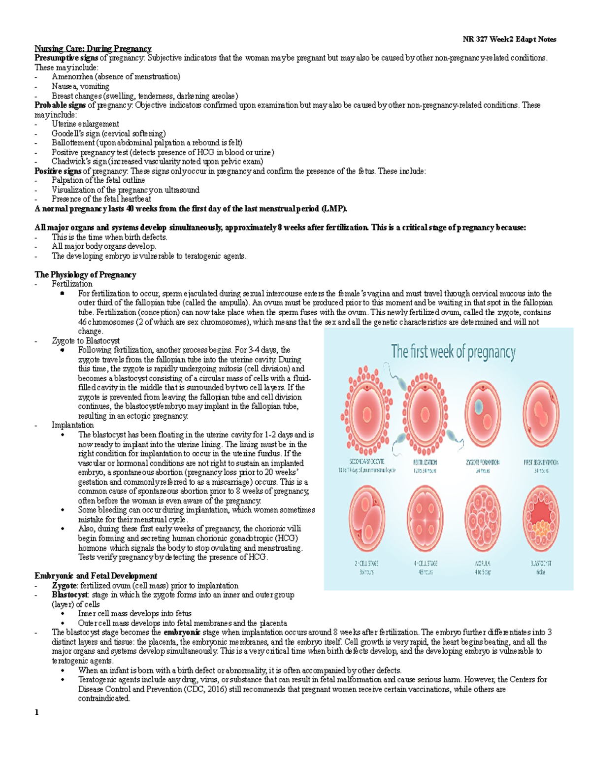 NUR 101 Week 2 Edapt Notes: Nursing Care During Pregnancy - Studocu