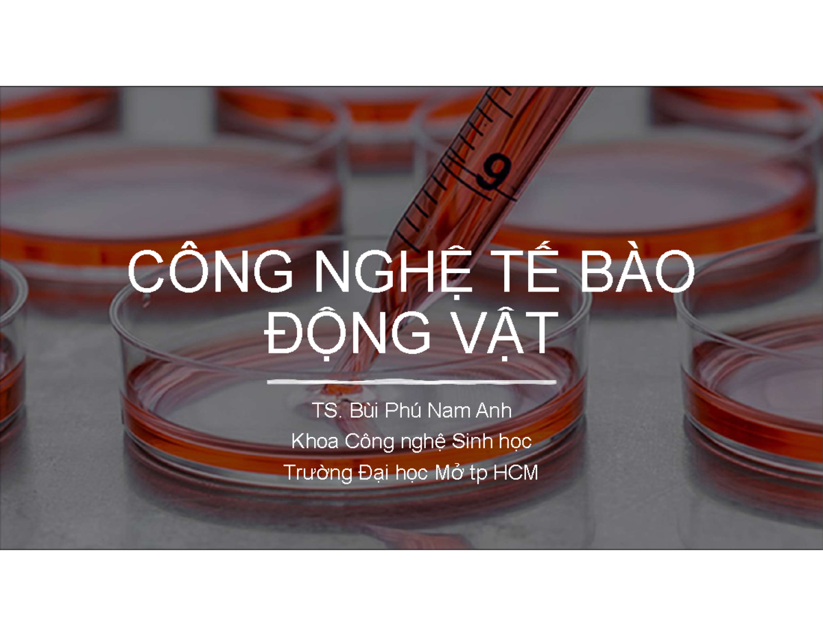 BPNA BÃ i 1 CNTB - slide - Con người và môi trường - CÔNG NGHỆ TẾ BÀO ...