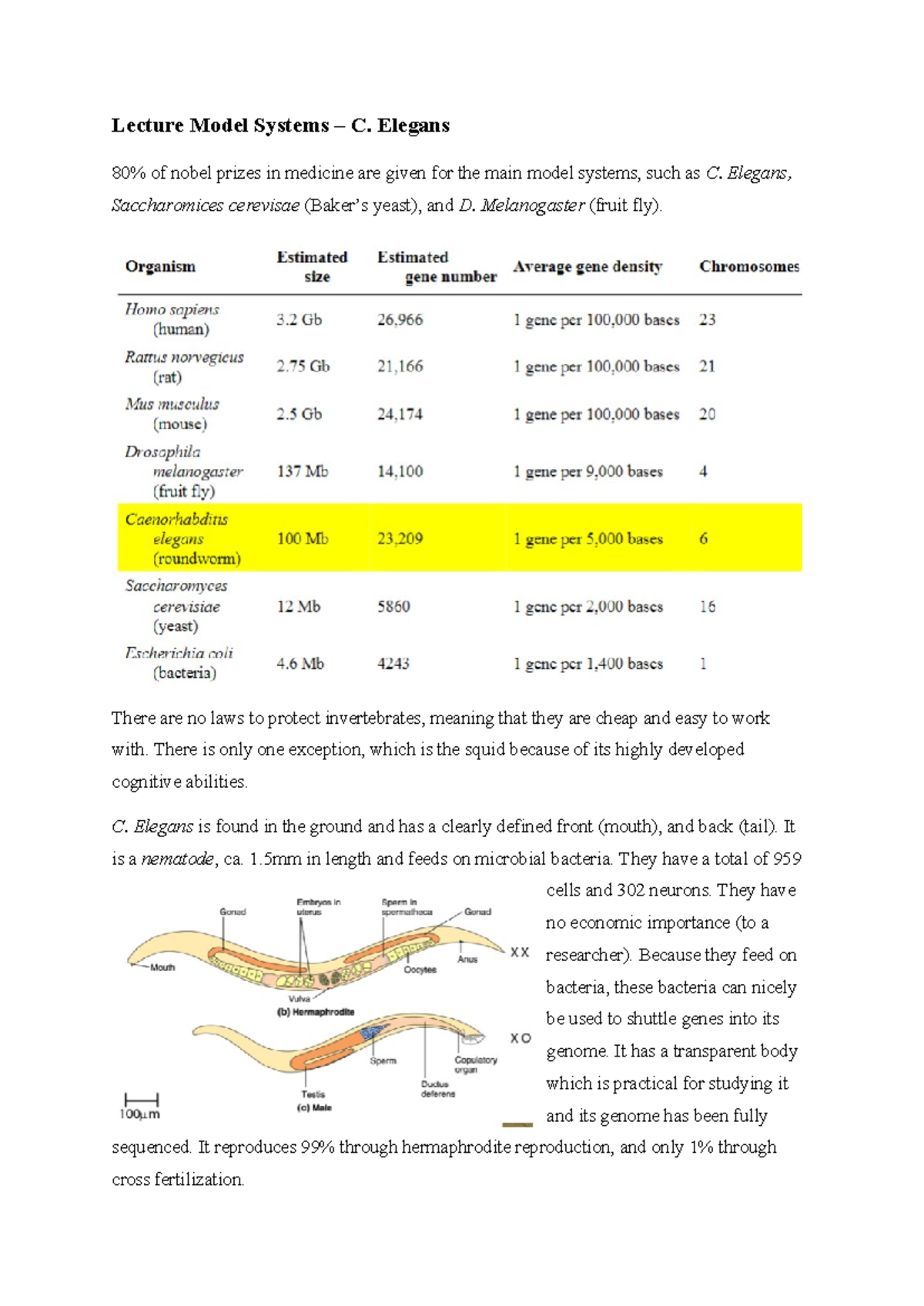 C. Elegans Model Organism Lecture Notes - Key Genetic Insights ...