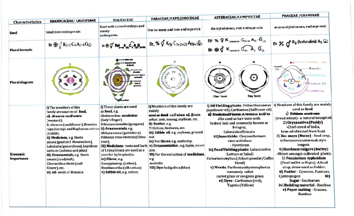 Characterization of API and Medicinal Plants: A Study (BIO 101) - Studocu