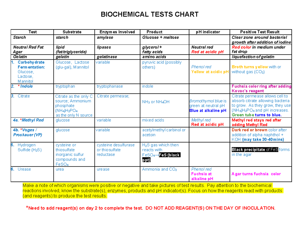 Biochemical Tests Chart For Microbiology BIO 101 Studocu
