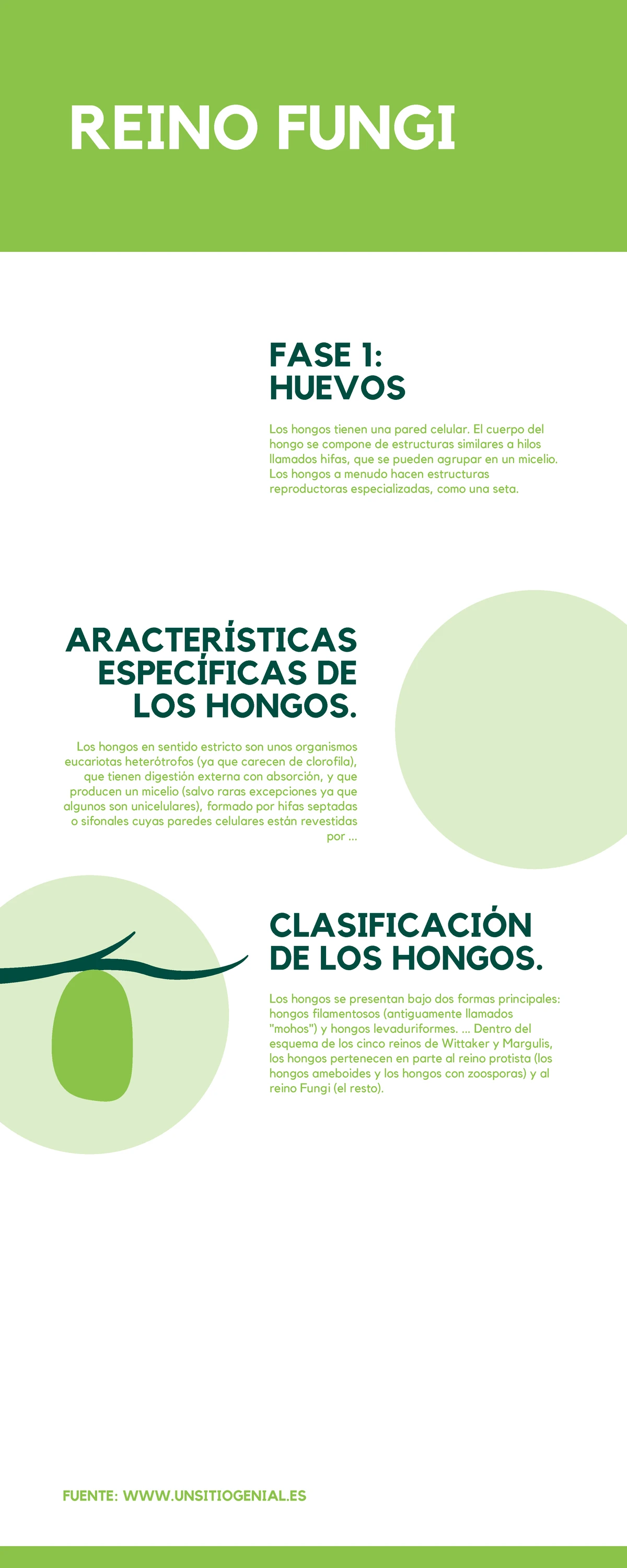 Reino Monera: Características y Clasificación de Organismos - Studocu