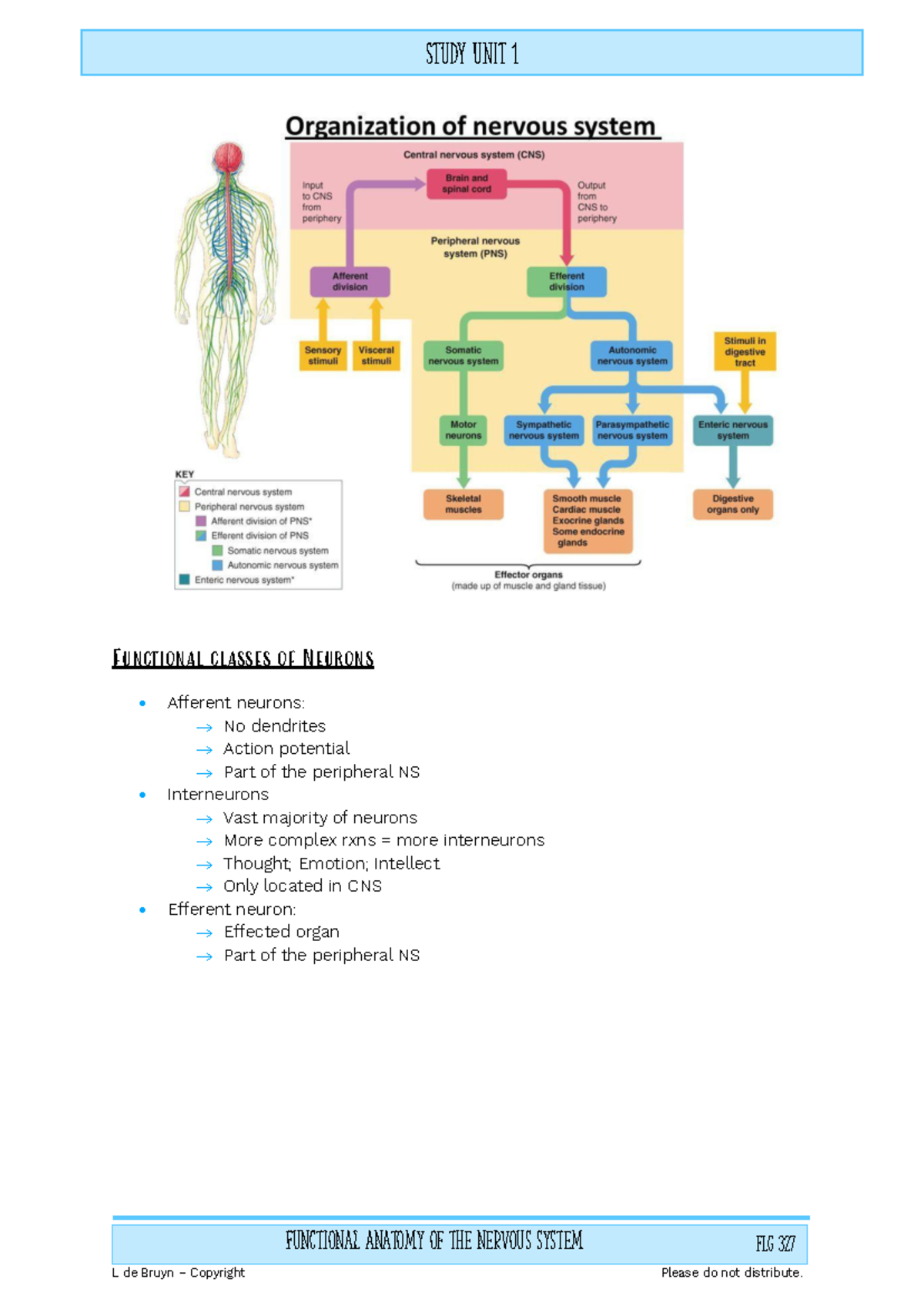 FLG 327 - SU 1 - Functional Anatomy of the Nervous System Study Guide ...