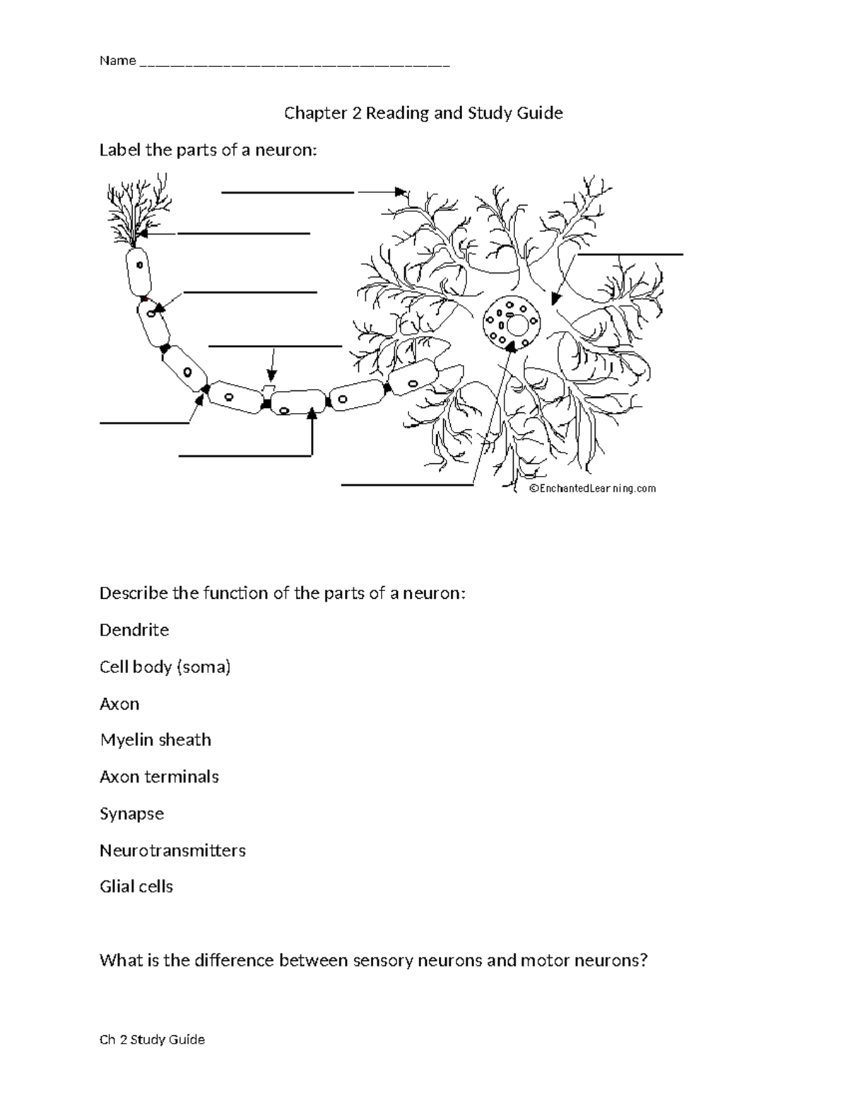 BIO101 Chapter 2 Reading & Study Guide: Neurons & Brain Functions - Studocu