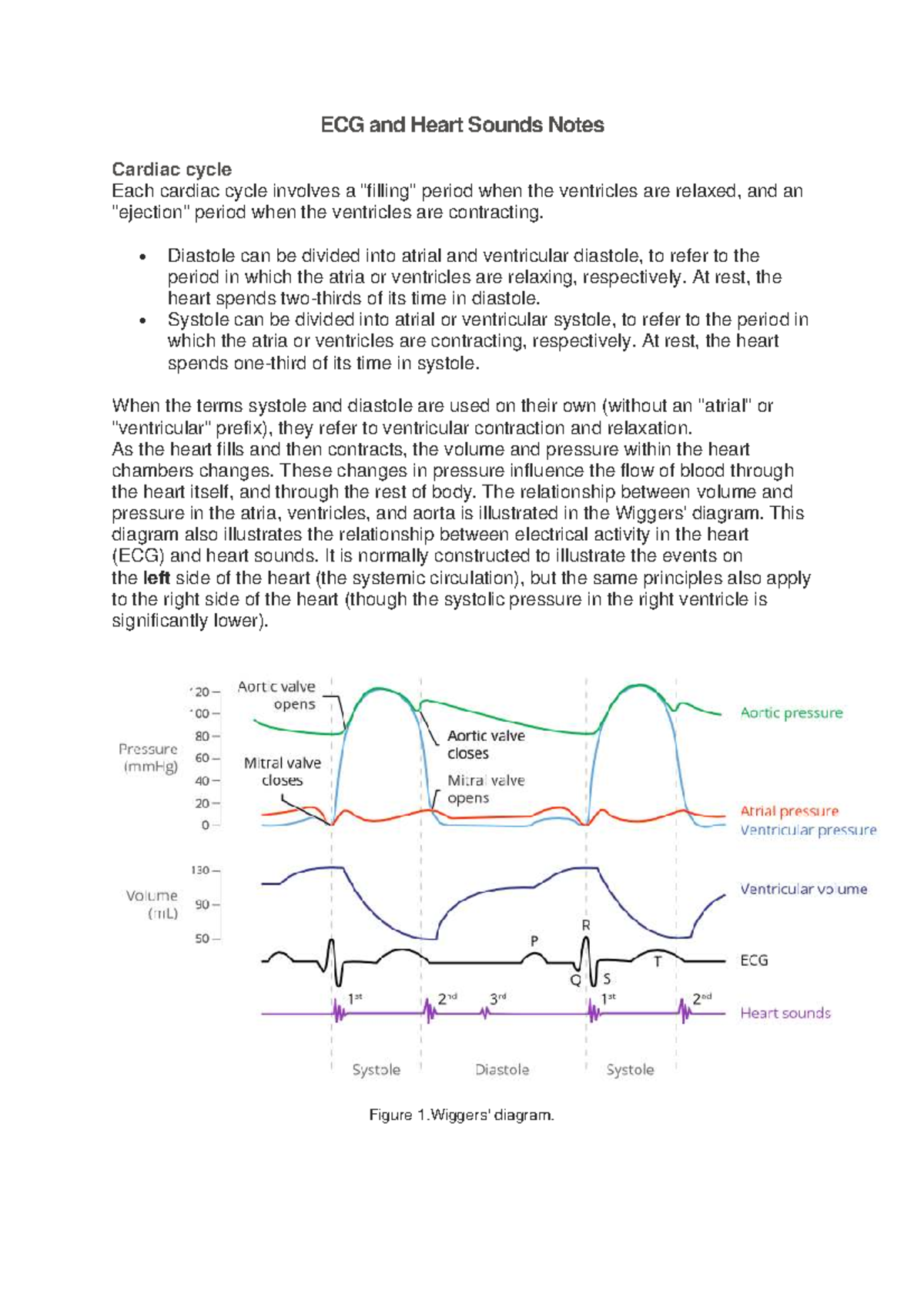 ECG and Heart Sounds Notes - Cardiac Cycle Overview (2022) - Studeersnel